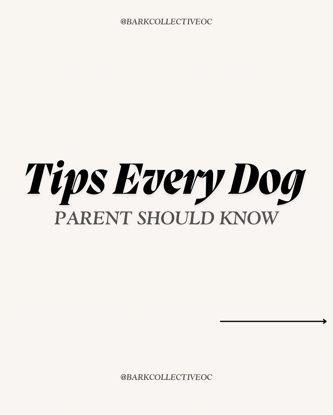 Training your dog doesn’t have to be overwhelming. Swipe through to discover five straightforward tips that can make a big difference in your training journey 🐾