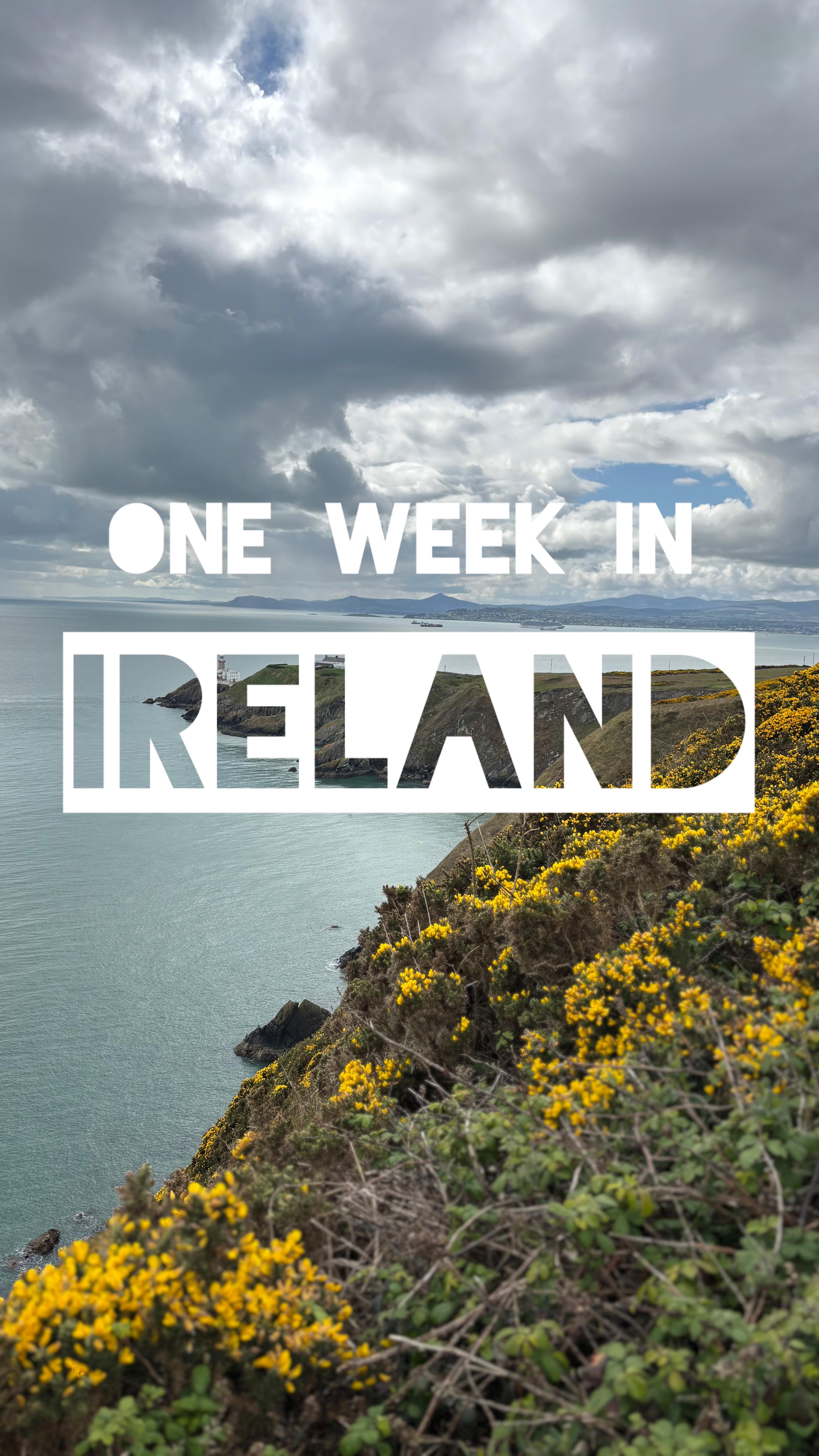 Have you ever been to Ireland? 🇮🇪 @lemondefr just shared a post this week about how travel to Ireland is extremely low in recent years (especially for families!). If you saw my stories last week, we were there for spring break and it was really refreshing to be in a vacation spot that was basically empty but I can see how low tourism really impacts the local economy especially in the countryside. So if you’re thinking about Ireland, go for it!
☘️ We started in Dublin and hit some highlights in the city (the Book of Kells, St Stephen’s Green, @bambino_dublin 🍕 and Hodges Figgis, Dublin’s oldest bookstore) as well as doing a cliff walk in Howth where we had fish and chips and saw seals!
☘️ Something to know about Dublin is that the city itself is quite small but there is a lot to do just a short drive outside the city. Personally I do not like a lot of city travel and it’s kind of frustrating for my 2 year old so we really didn’t plan much on our Dublin days, but we will definitely be back since my husband goes often for work.
☘️ We rented a car and went to county Galway for the rest of the week. Galway city is very cute and compact and we ate some of the best pizza I’ve had in recent memory at @thedoughbros (what’s with Ireland and the good pizza??), ice cream at @murphysicecream, cute boutique shopping at @woodenhearttoys, and finding some local yarn as a souvenir for me and my new knitter daughter 🧶
☘️ We stayed near Connemara National Park and wow! It was magical. If you love wild landscapes, peat bogs (I didn’t know that I loved them), fjords, hiking, and sheep, this is probably the place for you. Getting around the area requires a car and a stomach of iron (and lots of patience for your mom playing Irish rock radio) but the payoff is worth it. We hiked, went to a sheep farm (with sheep dog demo that we are still talking about), and Kylemore Abbey on the rainiest/windiest day of my life so the visit unfortunately got cut short.
Have I convinced you to go to Ireland yet? And can I come with you? 😂
#ireland #visitireland #eire #eireann #galway #travel #travelwithkids