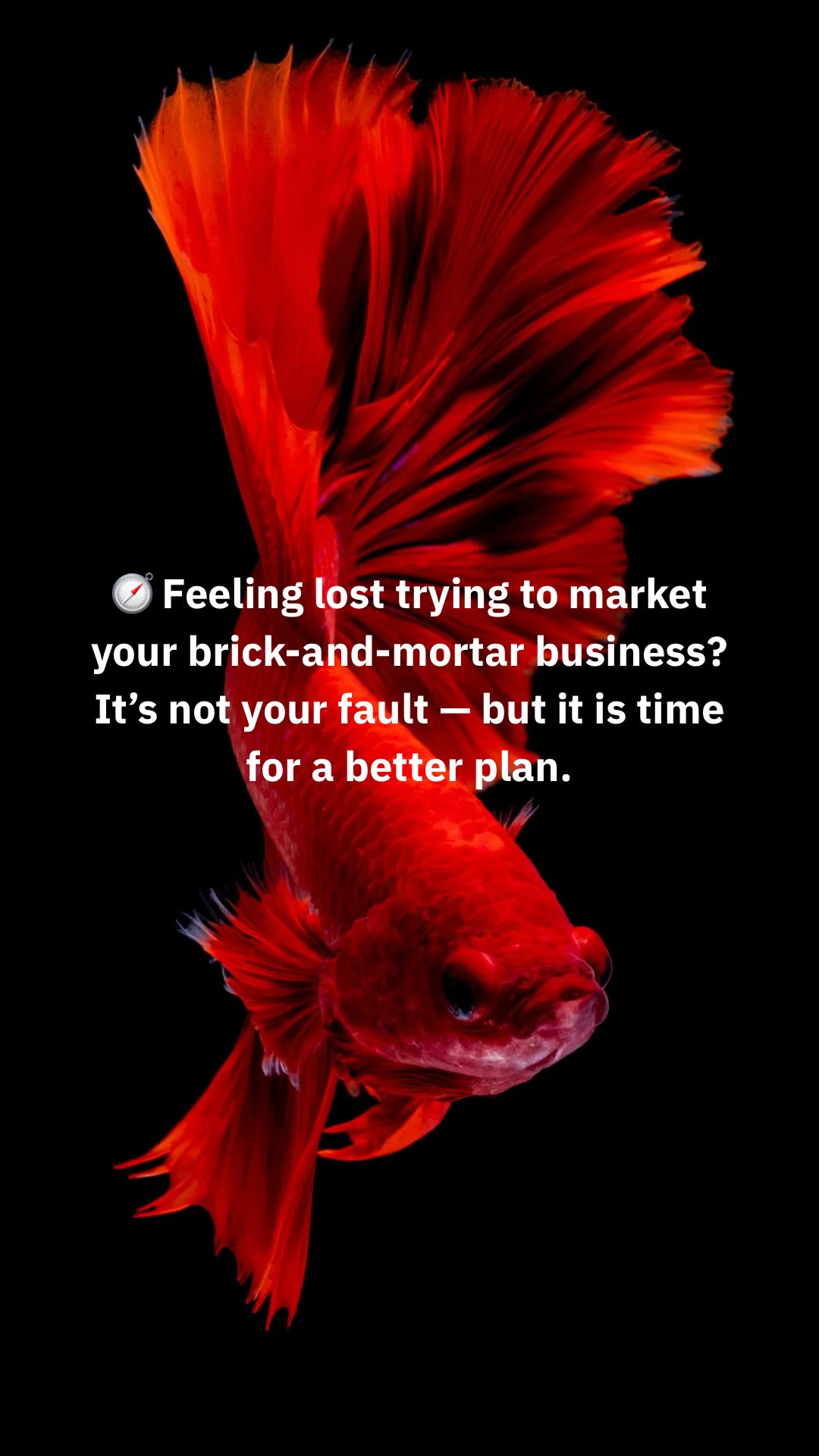 Ever feel like you’re just wandering in circles with your marketing?
👉 Throwing posts out there, hoping something sticks…
👉 Feeling overwhelmed by advice that never actually gets you results…
👉 Wondering if you’re even headed in the right direction?
It doesn’t have to be that way.
I’ve created a clear, step-by-step path for brick-and-mortar business owners who want to market smarter — without wasting time or money.
🚀 I’m opening up only 20 spots for the beta launch of my brand-new marketing course!
You’ll get early access, extra bonuses, and direct feedback from me as you walk your marketing trail with confidence.
⏳ First come, first served — after 20 spots are filled, the beta closes!
🔗 Ready to finally follow a path that leads somewhere amazing?
Drop a 🔥 in the comments or DM me “READY” for the early signup link!
#MarketingMadeSimple #SmallBusinessMarketing #MarketingCourse #BrickAndMortarBusiness #BetaLaunch #EntrepreneurLife