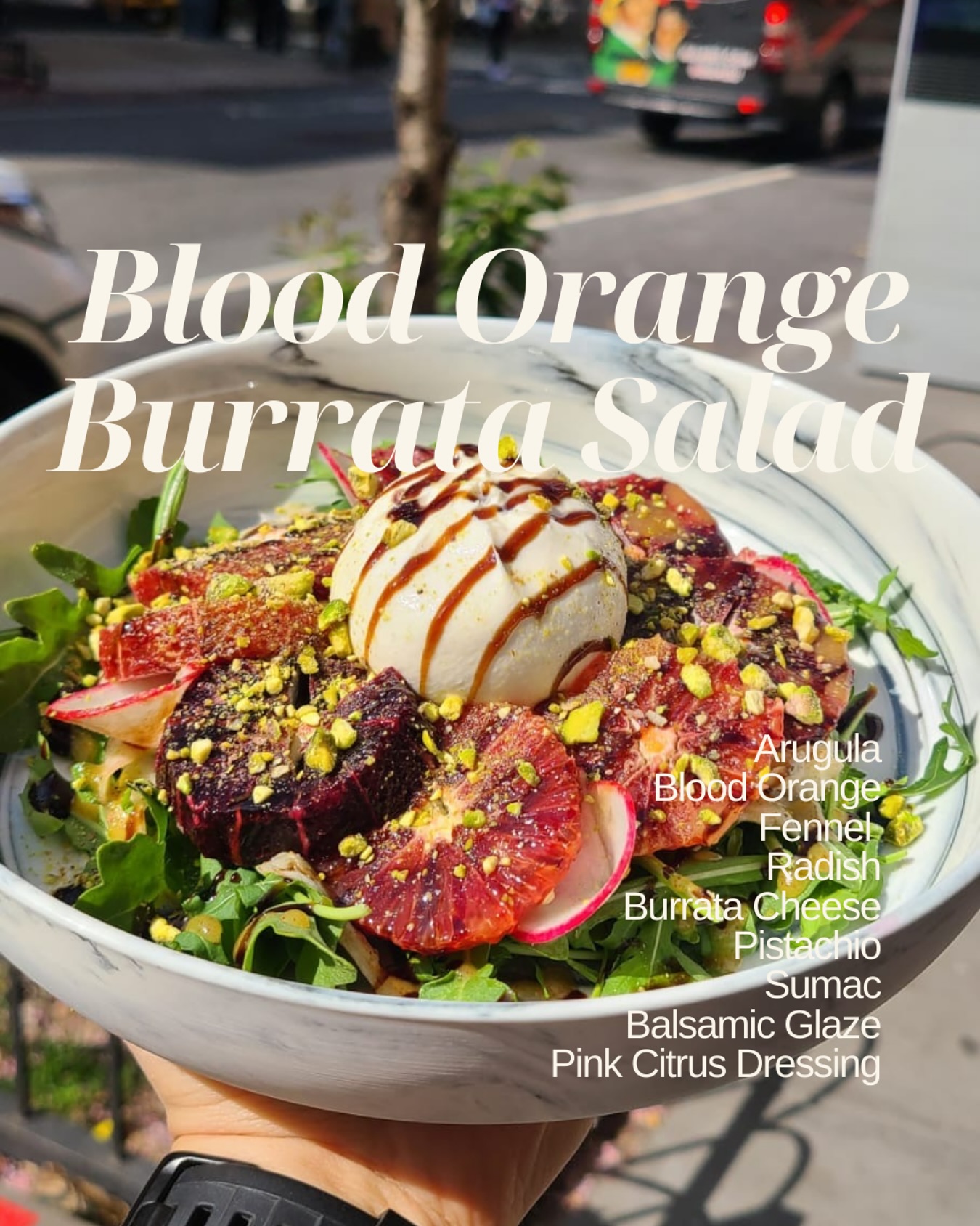 ⭐️NEW SPECIAL ALERT ⭐️
Blood Orange and Burrata Salad 🍊🧀
Arugula
Blood oranges
Fennel bulb
Radishes
Burrata cheese
Pistachios
Sumac
balsamic glaze
Pink citrus dressing
.
.
.
.
.
#nyc #nyceats #sohonyc #groundsupportcafe