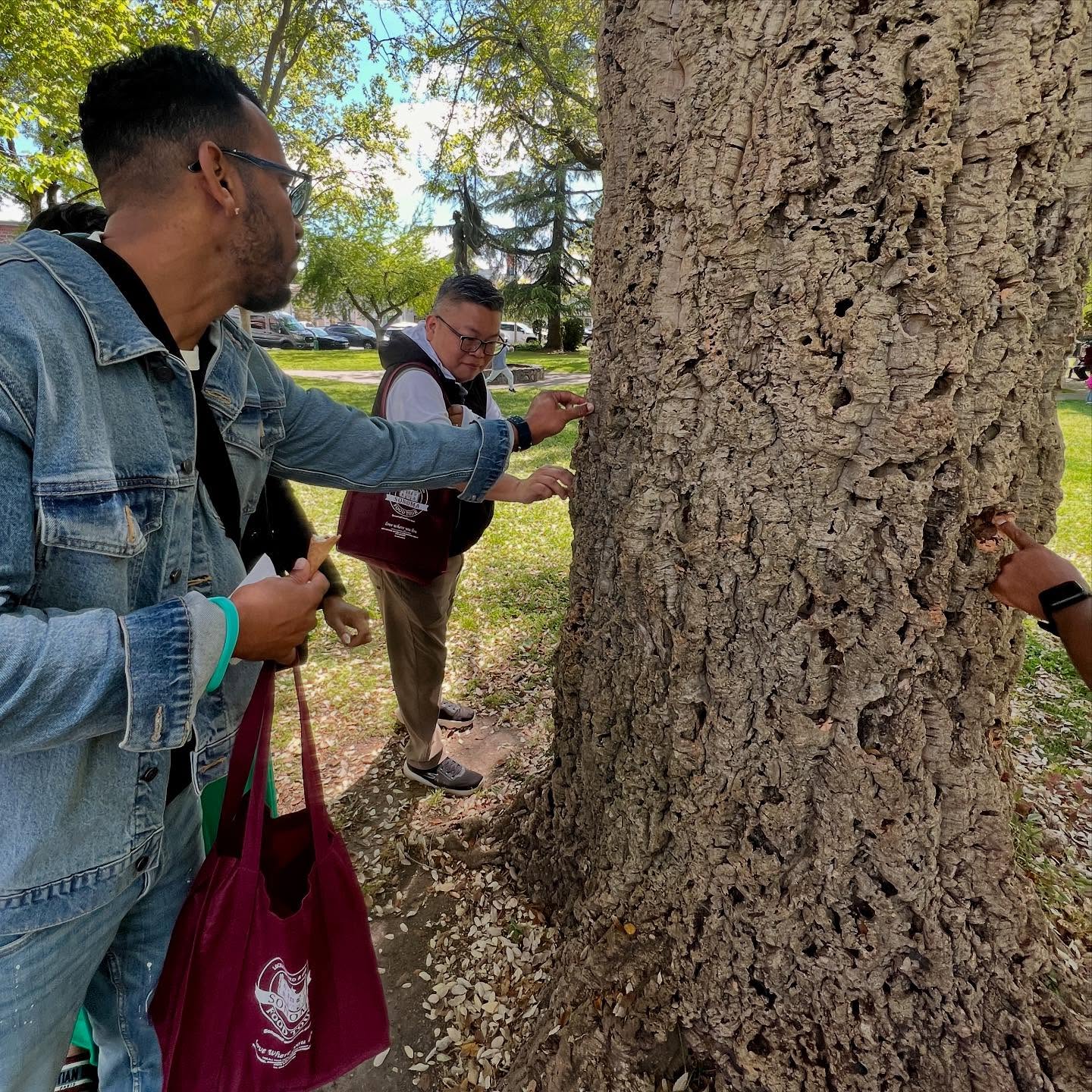 Here’s our group checking out the Cork Oak tree along the tour! Did you know the cork bark can first be harvested when the tree is about 25 years and then repeated every 12 years? You can learn some fun, interesting facts on our walking tour!