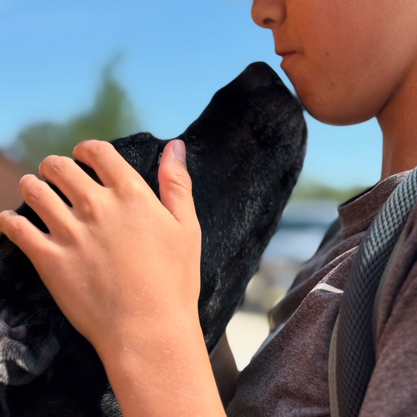 Speaking the same languageā¦.š„¹š„°
Boerne Pet Sitting - accepting all new furry friendsābecause every pet deserves this kind of love while youāre away!
š² Link in bio, message or text 830-837-3135
šwww.boernepetsitting.com
#boerne #boernetexas #boernephotographer #petportrait #petsitting #petsitter #lovemyjob