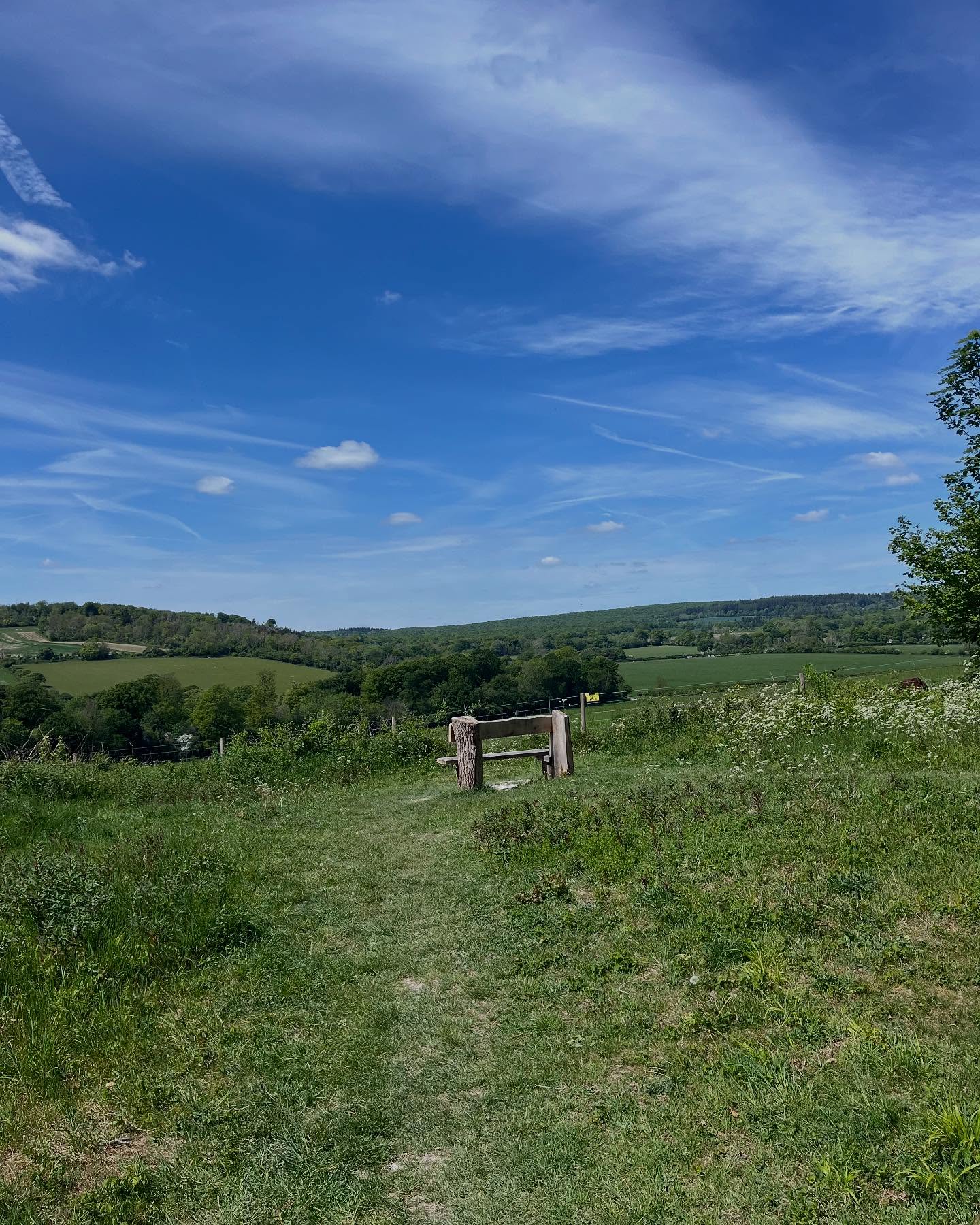 Perfect few hours losing myself on the trails! After all, I did work one full day already this week so clearly needed to gift myself this afternoon off 🤣. Building up the distance feeling good 🏃🏻♀️🏃🏻♀️. #greenspace #shinrinyoku #trainhard