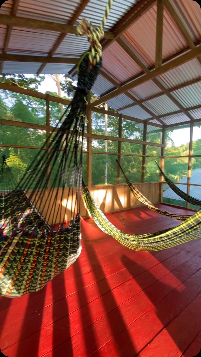 #amazonacailodge, #hoteldeselva , #amazonas #amazonascolombia, #touramazonas, #amazontour