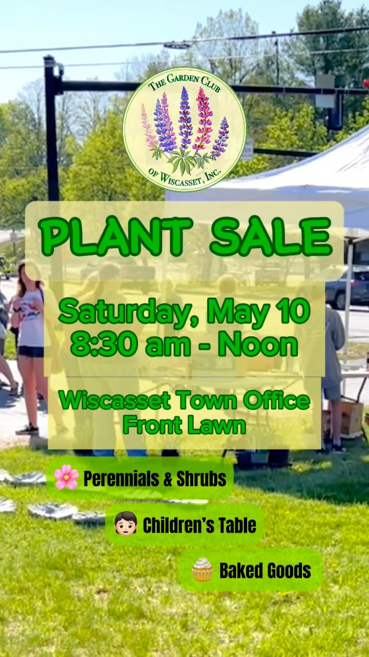🌸 Plant Sale! 🌺
It’s our biggest fundraiser of the year, the GCW Plant Sale! Saturday, May 10th 8:30am to Noon.
Wiscasset Town Office front lawn. See you there!
#plantsale #gardening #gardenclubofwiscasset #gardenclub #Maine #midcoast #midcoastmaine