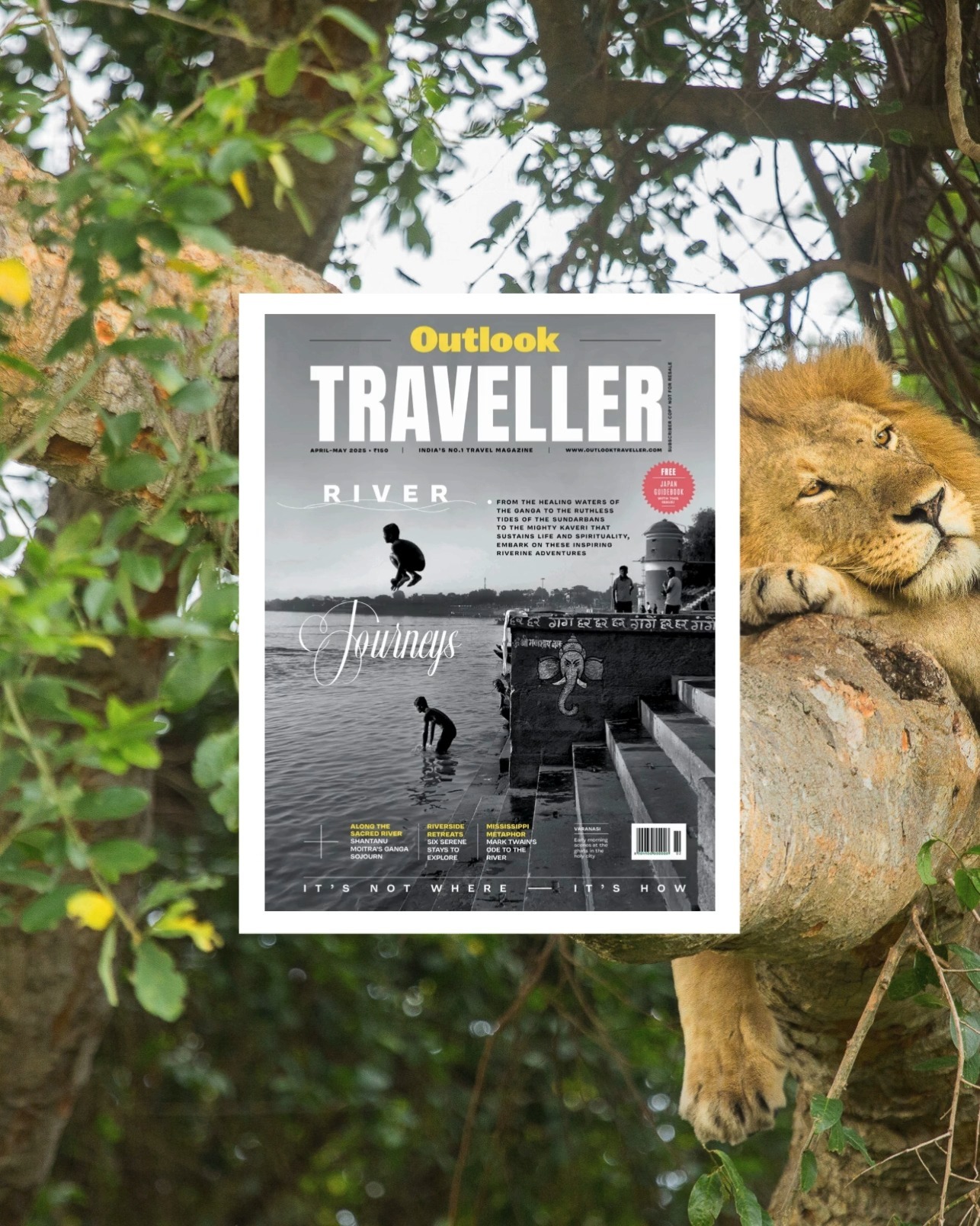In @outlooktraveller, journalist @charukesi takes readers deep into Ugandaâs Kyambura Gorge, a âsunken forestâ carved into Queen Elizabeth National Park, where a small, isolated group of chimpanzees offers an unexpectedly intimate look at our closest living relatives. Her base? @volcanoes_safaris â Kyambura Gorge Lodge, perched right at the edge of the gorge.
From the lodge, guests can walk into the rainforest on a conservation-driven trek led by rangers like Judith Nyamihanda, who has tracked a particular chimpanzee family for over two decades. âEvery day is different,â she shares, as travelers descend into the gorge to witness the primates' social rituals, parenting behaviors, and territorial drama in their natural habitat.
The story is as much about the chimpanzees as it is about the role of Volcanoes Safaris, whose eco-lodges and community initiatives have set new standards for responsible tourism in East Africa. As Ramadurai writes, âKyambura Gorge Lodge, a boutique property... is owned by Volcanoes Safaris, who are the pioneers of responsible wildlife tourism in this country and offer a range of activities that promote both wildlife conservation and community upliftment.â
With eight bandas, spa treatments, and views of either open savanna or the dramatic forest below, the lodge offers comfort with a sustainable conscience. Beyond the trek, guests can engage in landscape conservation walks, birdwatching across the wetlands, and the immersive Fig Tree Trail.
For journalists exploring stories around conservation, great ape tourism, or East Africaâs evolving eco-luxury experiences, weâd love to connect. Contact us for press opportunities with Volcanoes Safaris.
#VolcanoesSafaris #KyamburaGorgeLodge #REYACommunications #EcoLuxury #ChimpanzeeTracking #SustainableTravel #GreatApeTourism #TravelWriting #ConservationTourism #EastAfricaTravel #OutlookTraveller #WildlifeJournalism #VolcanoesSafarisExperience
