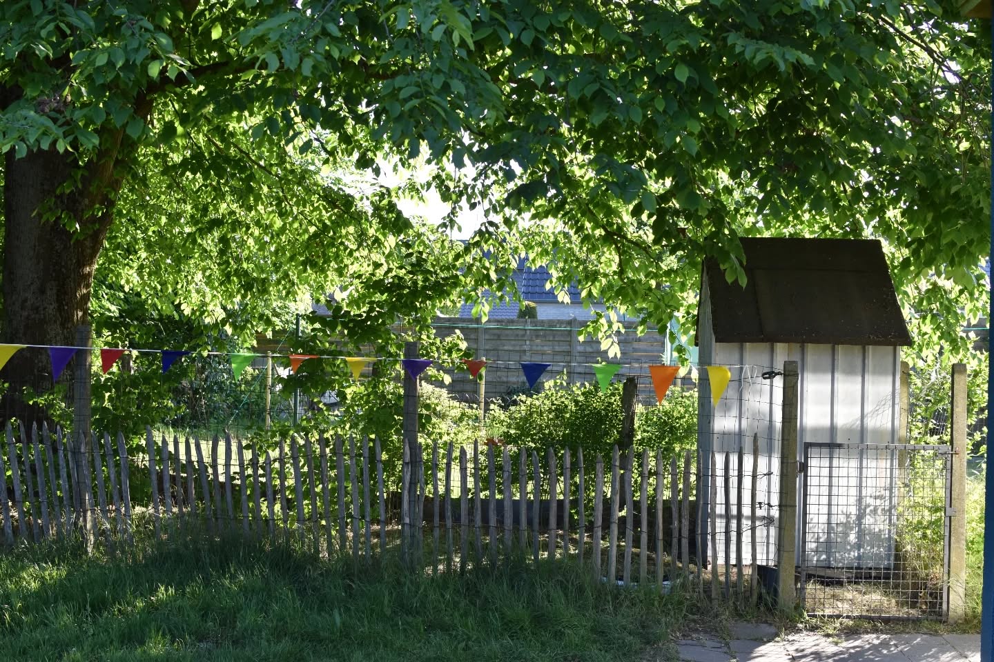 Groot nieuws! We hebben nieuwe bewoners op onze school: 3 kippen! π
Hebben jullie een leuke naam?