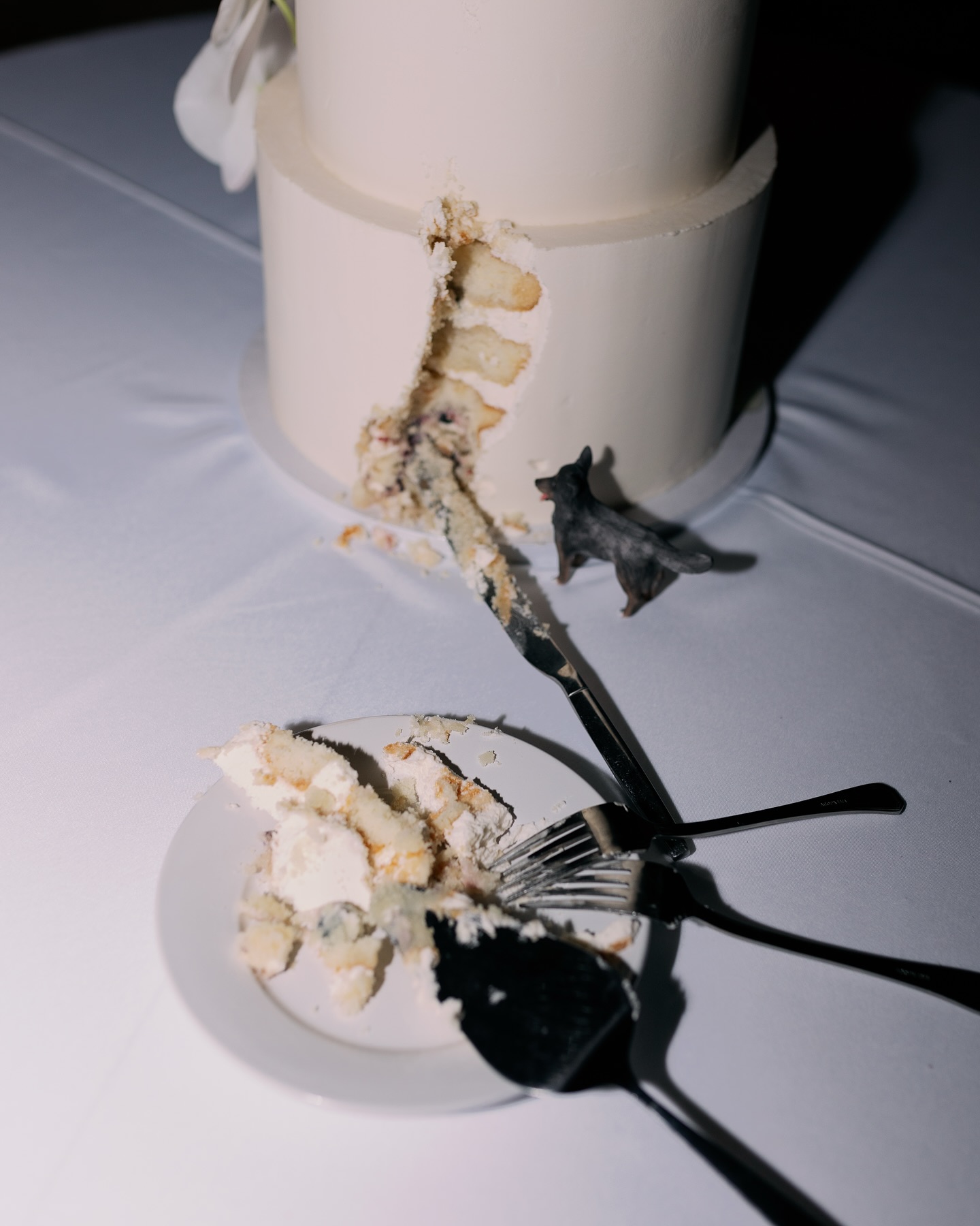 My theme song always is the intro song from the musical “Waitress”. IYKYK 🧈🥚🍚
•
VENDOR TEAM:
Planner: @nothingbutloveweddingandevents
Photo + Video: @kalynshaephotography
Cake: @kaylibakescakes
Catering + Bar: @Kcihospitalityllc
Entertainment: @leforcedj
Floral: @weddingsbylavenders
Glam: @birdybeautydfw
Gown: @vierobridal_losangeles @vierobridal
Transportation: @ajl_international
Venue(Ceremony): St. Sarkis Armenian Orthodox Church Carrollton
Venue(Reception): @stonecrestvenue
•
•
•
•
#cake #cakedecorating #cakedesign #cakeart #cakedecorator #cakedesigner #wedding #weddingcake #weddingcakes #dallaswedding #dfwweddings #dallasweddingcakes #dfwweddingcakes #fall #fallwedding #fallweddingcake #weddingcakeideas #weddingcakeinspiration #weddingcakeinspo #furbaby