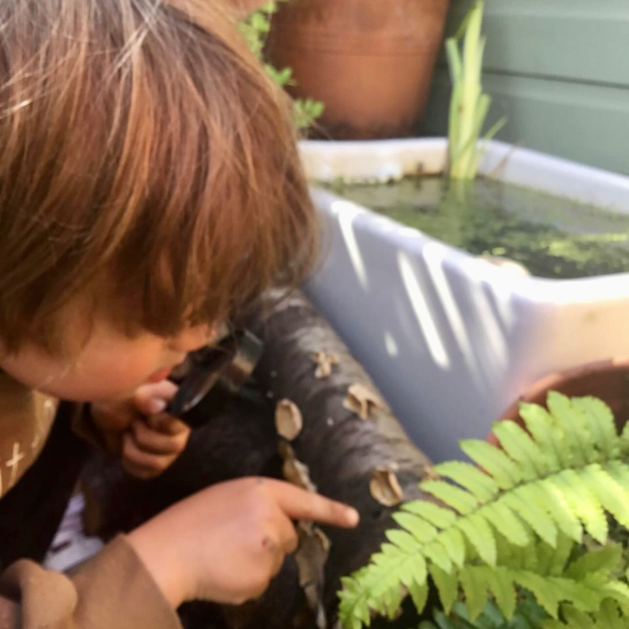 The children were absorbed in their investigations today in our little natural life zone of the Urban Forest School.  Observing life in the Sink Pond, looking at reference books and drawing what they saw supports their social and emotional development as our little learners engaged in collaborative activities and explored the natural world. #westbridgford #independent #nursery  #est1988 #underfundedchildcare #ndna #earlyyearseducation  #holidayclub #outofschoolclub #openendedplay #earlyyears #play #curiosity #letthemplay #outdoors  #learningthroughplay #milliesmark #birthtofivematters #earlyyearsoutdoors #milliesmark  #2025 #may  #keepingchildrensafe #thewhitehousedaynursery
#aweandwonder #spring #sinkpond