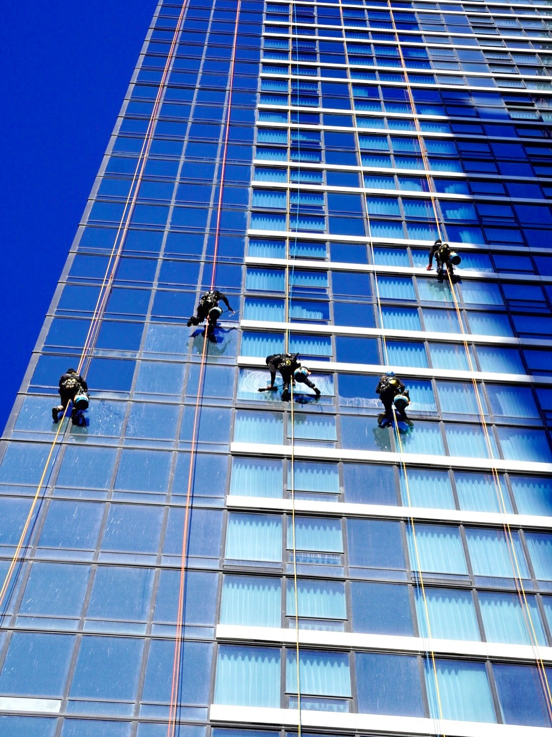 Results that speak for themselves 🔥
🪢 www.ropeadope.ca 🪢
#beforeandafter #ropeaccess #ropeaccesstechnician #workatheight #yyc #bucketharness #ropeadopewindows