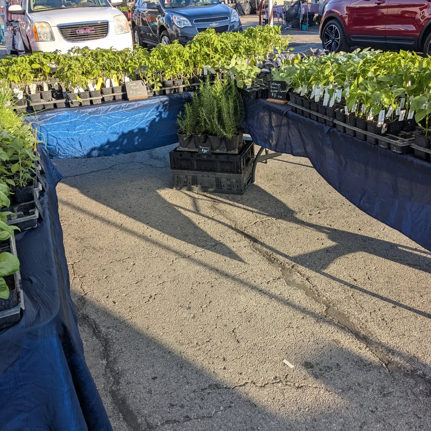 If you're needing plants to get your garden started, swing by one of the farmers markets this morning. (Parkville Farmers Market, Leavenworth Farmer's or the City Market-KC) We've got tomato plants pepper plants, herbs & more! You can also pick up some tasty asparagus and tomatoes, too!