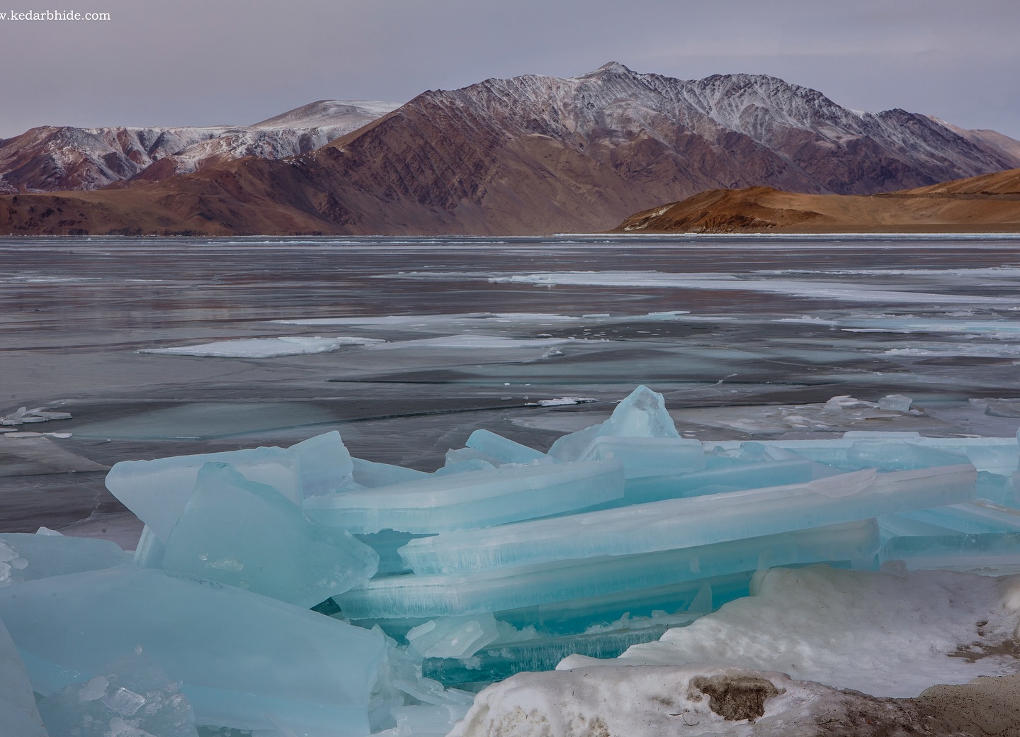 🌸In Ladakh, life thrives with resilience.
This series by Kedar Bhide (@kedarsbhide) captures stories from Earth’s harshest frontiers.
📷 1: At peak of winter in Ladakh, when the Mercury plummets and high winds start caressing the frozen Tso Moriri, it slowly looses control. With sheer excitement, the lake starts exploding into these frozen diamonds adorning the frozen landscapes with glistening jewels.
📷 2: The Changpa Yak, on the frozen Tso Kar lake, is the only animal that comfortably continues to graze, even when the high winds and the temperatures of minus 20s hit.
📷 3: Kyun Tso 1 & 2 at 16,800ft are completely wild landscapes in Changthang, Ladakh. “Though the absence of snow in January is very worrisome news, it allowed me to visit these areas, which I couldn’t in the last 15 years of my Ladakh Winter Pilgrimages. The frozen beauty was out of this world.”
📷 4: Icescapes. When lakes freeze at peak of winter in Ladakh, you are introduces to a Pandora’s box, where all around the ice and light gifts you possibilities.
📷 5: Tibetan Wild Ass, or locally known as Kiyangs, grazing in vastness of cold desert in Ladakh winter. Temperatures often plummet to - 40° C on these plains even during daytime, if it’s cloudy.
Read more on Kedar’s experience shooting in cold temperatures at the #linkinbio!
#ConservationInTheHimalayas #HimalayasSpecied #Ladakh #TheImpactSociety #Photography #storytelling #visualdocumentation #climatechange #tibetanargali #snowleopard #endangered