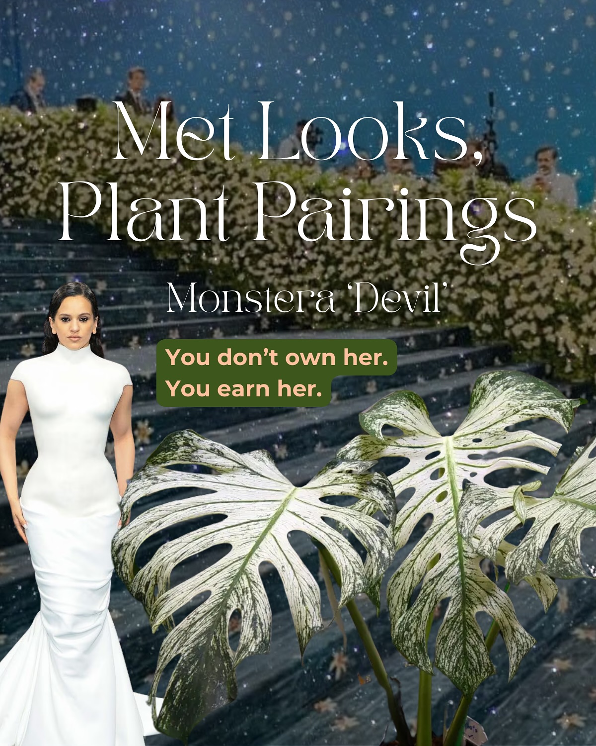 Plant Pairings for the Met Gala 2025 #Metgala
Where high fashion meets some of our rarest foliage.
Because every iconic look deserves a statement plant 🌿✨
Which pairing is your favorite?
Comment below and let us know if you’re ready for part 2 👀
#FoliageAndFashion #PlantStyling #BotanicalCouture #StatementPlants #FashionMeetsFoliage #plantthejungle #monsteradevil #rareplants