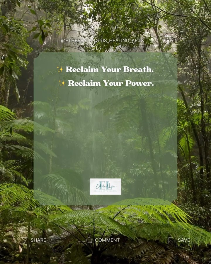 🌬️ BREATHSCAPES | 21-DAYS OF BREATH EXPLORATION🌿
Healing doesn’t come in floods—it can arrive in whispers, in micro-movements, in the sacred pause between inhale and exhale.
Imagine accessing profound consent-oriented practice that creates agency, clarity, and connection through the power of your own breath.
Breathscapes is not your average breathwork program. It is a pilgrimage inward—a space where you reclaim your breath as a compass, a boundary, a sacred teacher. A practice to help you confront your mind and rewrite your mental script.
Over 21 days, you’ll explore the vast terrains of your inner world through consent-based breath practices that honour your nervous system, your truth, your pace.
This journey is for the yoga teachers, the self-explorers, the change-makers, the burnt-out and the tender-hearted—those ready to soften into clarity, emotional resilience, and empowered self-trust.
✨ No forcing.
✨ No bypassing.
✨ Just breath as medicine, intentional and integrated.
We begin May 18.
DM BREATHE to book your call with Jeannette to see if this program is for you.