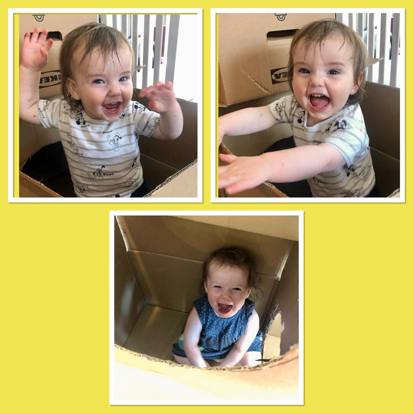Happy as a Baby in a Box! Did you know happiness is contagious -  like yawning or giggling? When someone is happy, it can spread to their friends and social network - try it 😊😁 #westbridgford #independent #nursery  #est1988 #underfundedchildcare #earlyyearseducation  #holidayclub #outofschoolclub #openendedplay #early years #play #curiosity #letthemplay #outdoors  #ndna#learningthroughplay #milliesmark #birthtofivematters #earlyyearsoutdoors #milliesmark  #2025 #may  #keepingchildrensafe #thewhitehousedaynursery
#aweandwonder #spring #mentalhealthawareness #happy