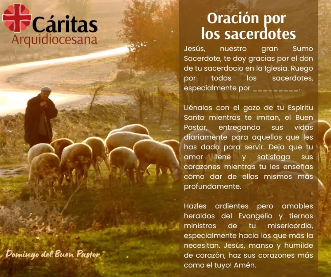 En este domingo del Buen Pastor, como el Papa León XIV indica: "conoce, ama y da la vida por sus ovejas", les invitamos a elevar una plegaria por los sacerdotes, en particular quienes sirven en nuestra Arquidiócesis de San José, para que Dios les fortalezca en su ministerio y les ayude a configurarse con Cristo Buen Pastor.
@arquisanjosecr