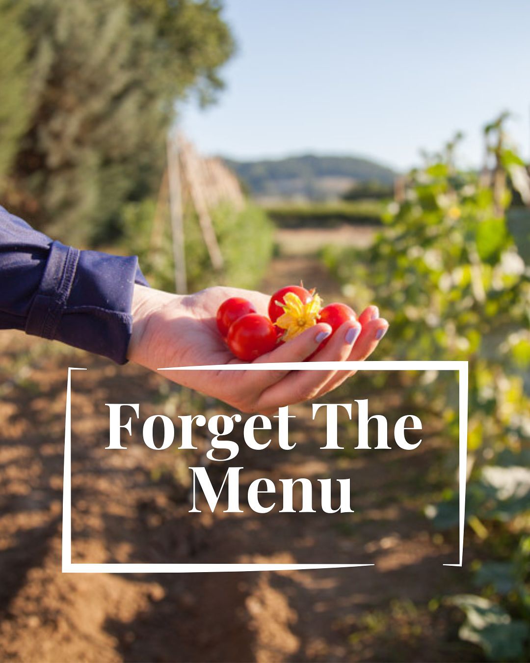 Forget the menu. Taste the real Italy.
Our farm-to-table food tours are not just about eating — they’re about connecting. With people, with traditions, with the land.
From hand-picked tomatoes to stories told over a glass of wine, every detail is part of the journey.
Meet the locals. Savor the essence. Discover Italy through taste.
Tailor-made experiences, just for you.
→ Link in bio to read more and book your private food tour.
.
.
.
#GreenwaysItaly #EatLikeALocal #FarmToTableItaly #FoodTourItaly
#SlowTravel #AuthenticItaly #TasteItaly #PrivateFoodTour
#ItalianLifestyle #GourmetExperience #TravelThroughTaste