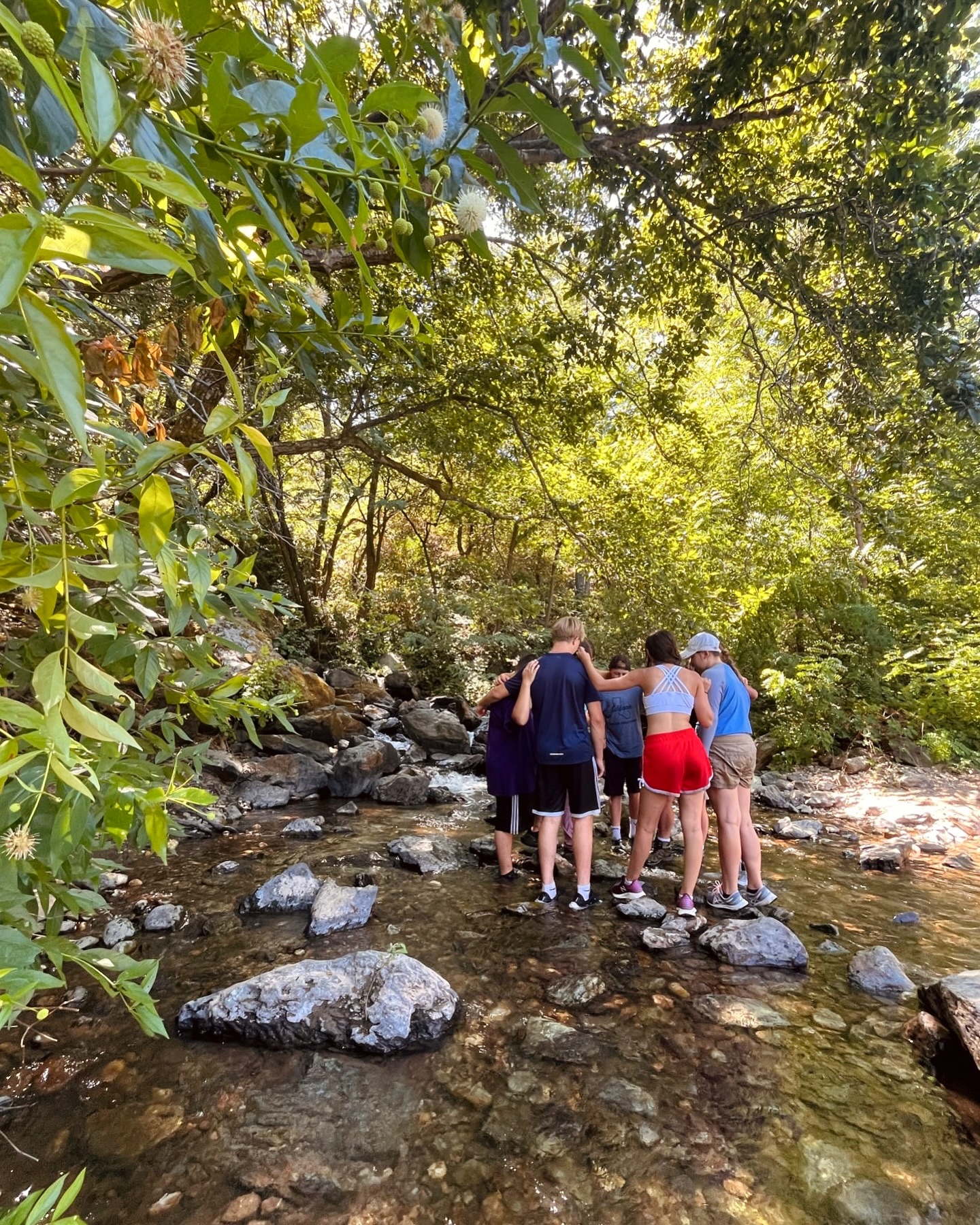 Therefore encourage one another and build one another up, just as you are doing. 🌿
1 Thessalonians 5:11