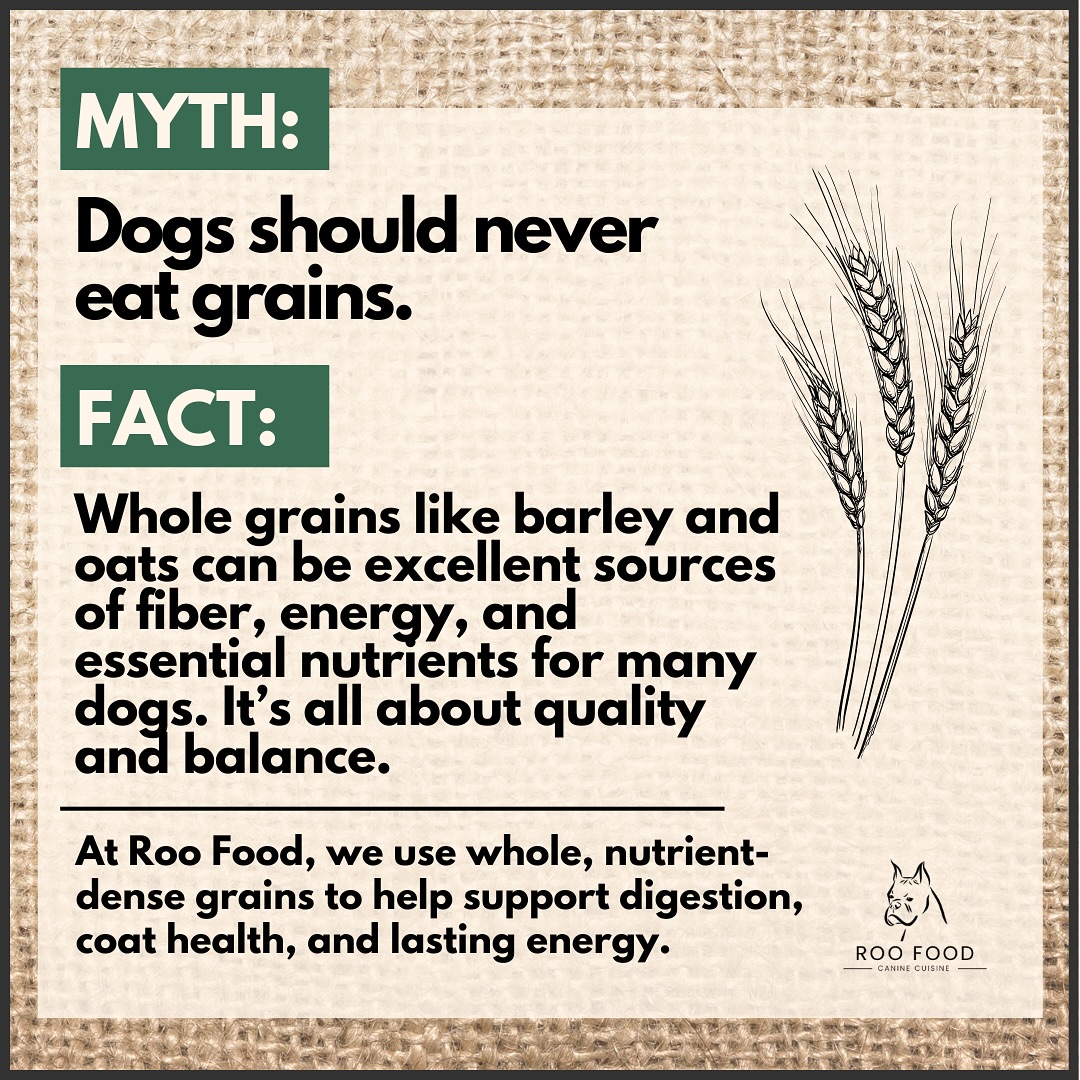 Drop a myth you’ve heard about dog food—we might bust it next week!
Hashtags:
#MythBustingMonday #DogNutritionFacts #RooFoodTruths #FeedRealFood #HealthyDogLife