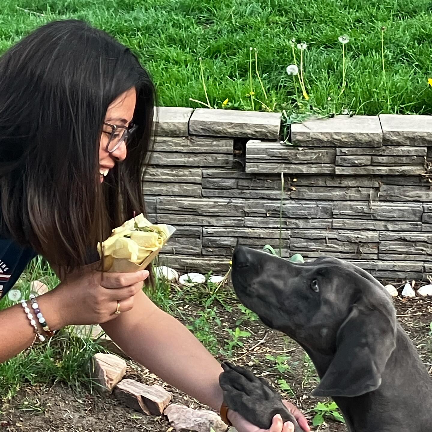 Alita: “don’t tease me, give it to me!”
Try out our Chicken and Mushroom Crepe tomorrow at the SoHo Park in Holladay at 4 pm to 8 pm.
ALITA CERTIFIED 🐶
#cheffranck #franckssaveursdefrance #food #crepe #utahfoodie