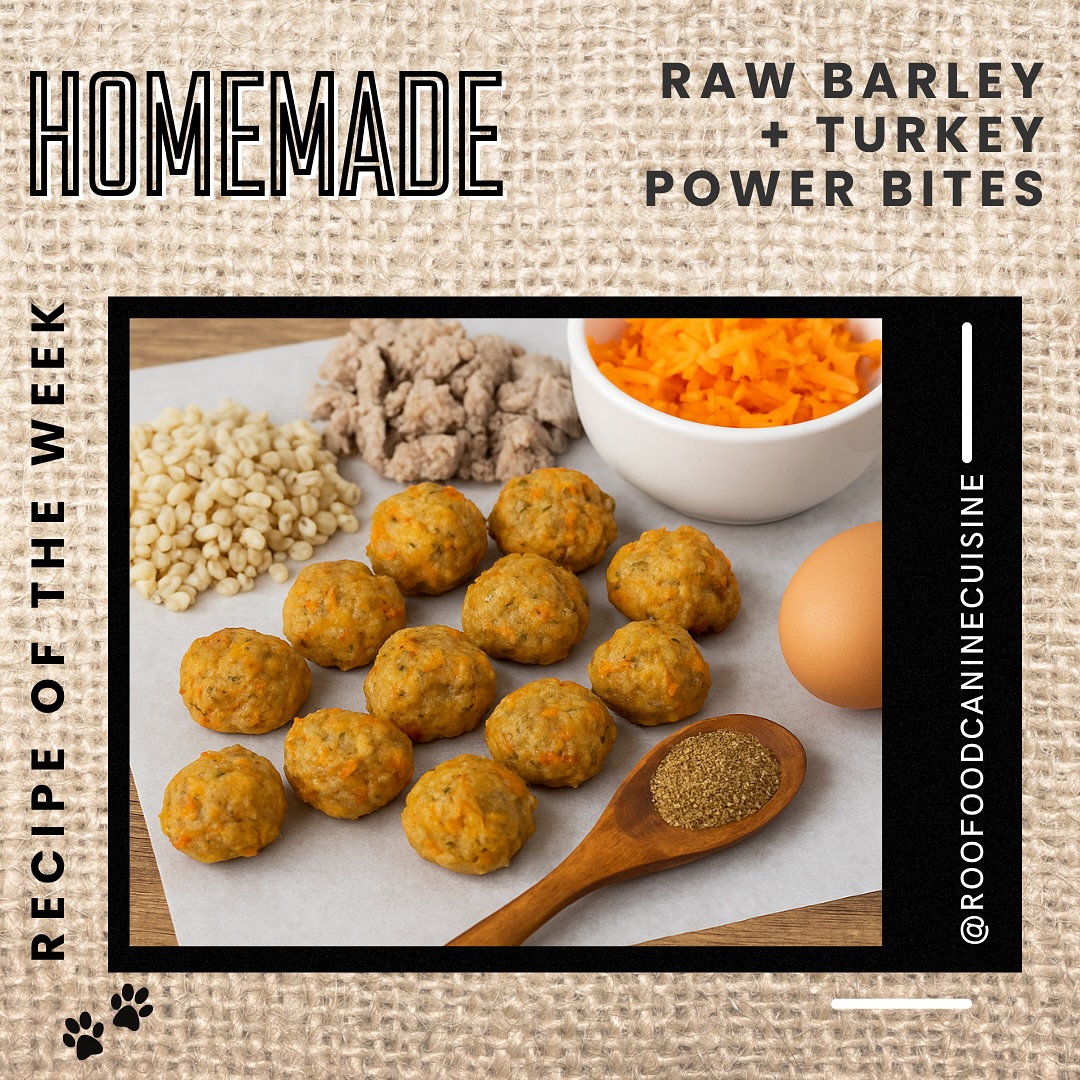 Fuel your pup with purpose. These Roo-approved Power Bites are packed with real ingredients to support digestion, energy, and overall vitality.
#DogFoodRecipe #HealthyDogSnacks #RooFoodKitchen