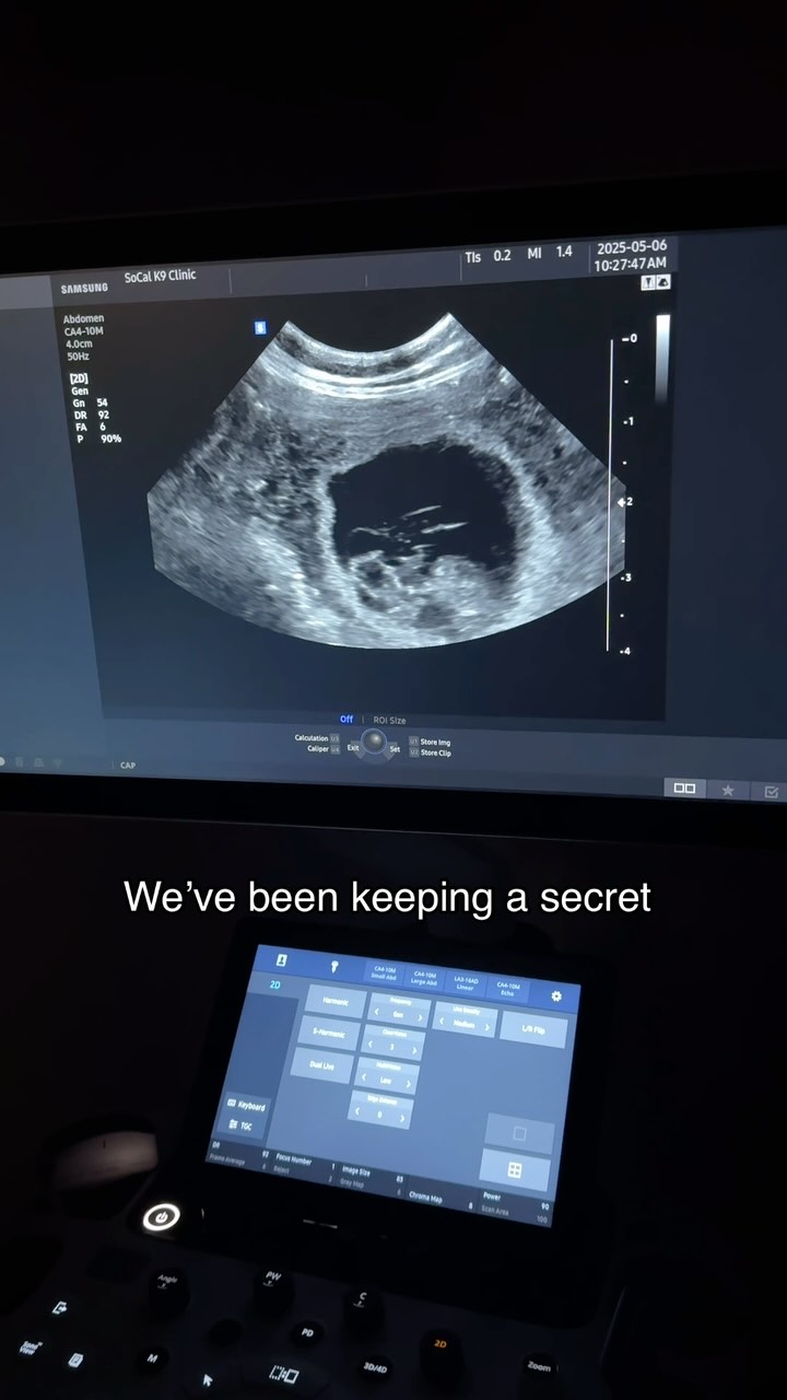 Our little Gigi is expecting!
We’re so excited to welcome her upcoming litter. At this time, our reservation list is currently full, but if Gigi blesses us with more pups than expected, we’ll open applications.
Puppies due June 9th
Teacup goldendoodles expected size 8 to 12 lbs
Stay tuned for updates — we’ll keep you posted every step of the way!
#puppylove #expectingpuppies #puppies #goldendoodles #teacupgoldendoodle