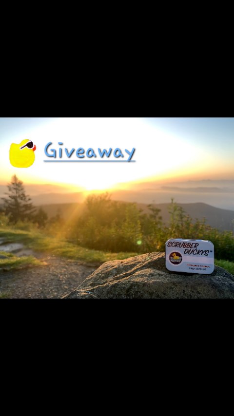 Like this post for a chance to win. That's it. Winner chosen Friday and posted in stories 🐣🎁