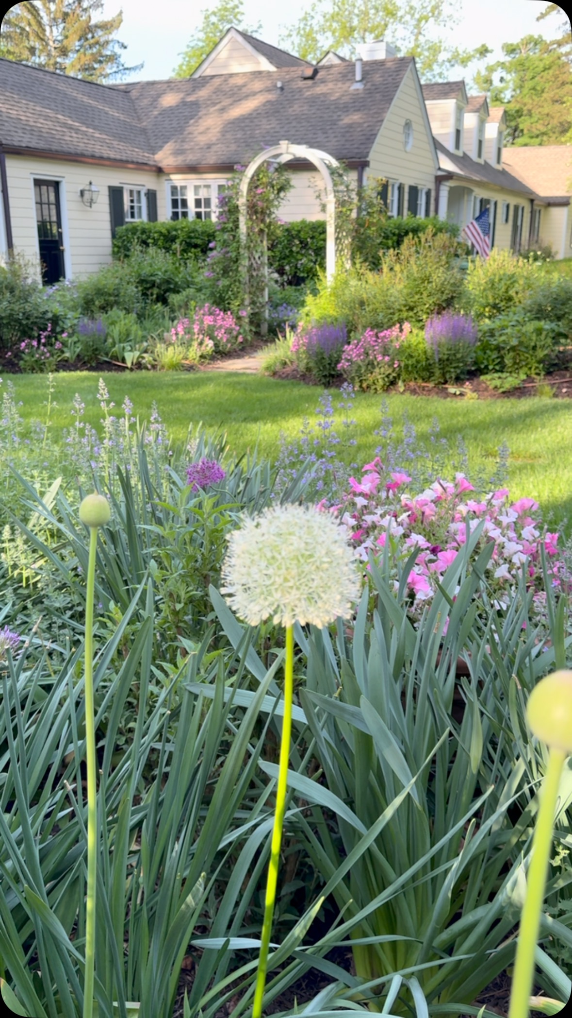 May in the garden is full of dreaminess. It is such a treat to watch new buds unfurling each day. The birds are providing their soundtrack to this clip.
-Cape Cottage Garden, Zone 7a, New Jersey, USA.
#Finegardening,#perennialgardens #countrygardens #gardengatemagazine #thecottagejournal #unbelievablegardens #homeandgarden #thehappygardeninglife #gardendesign #romanticgardendreams #countrygarden #gardenplanning #gardengreatorsmall #betterhomesandgardens #thegardeningspirit #gardenanswer #njgardening #bhggarden#cottagegardens #flowerlovers #gardensofinstagram