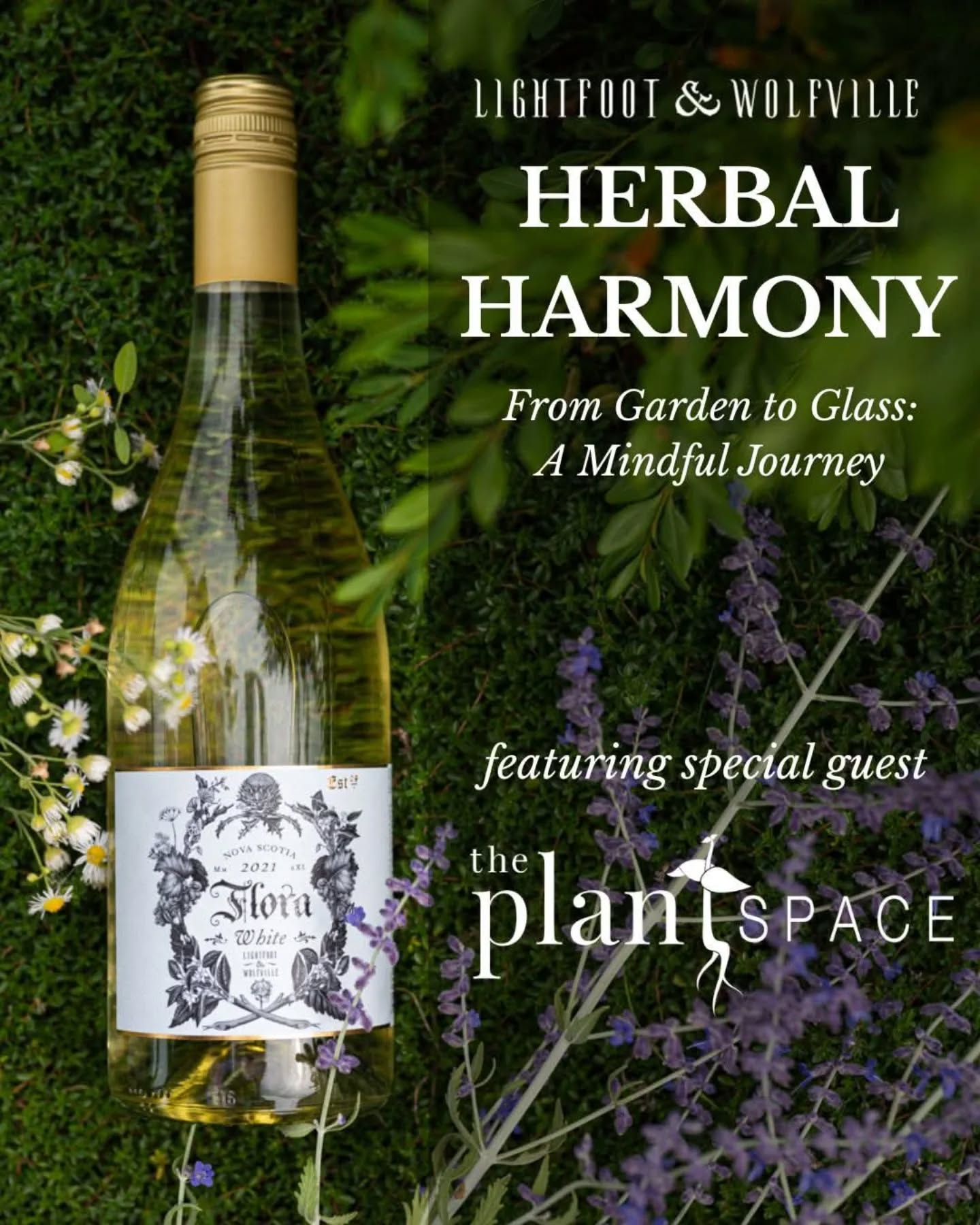 Don't miss our last plant n' sip of the season! Join Herbal Harmony and plant your own herb garden paired with wine and food from @lwwines (link in bio)
.
.
.
.
.
.
.
#wheninwolfville #annapolisvalleyevents #wolfville #planttherapy #plantsmakepeoplehappy #plantworkshop #herbs #winetasting #winelover