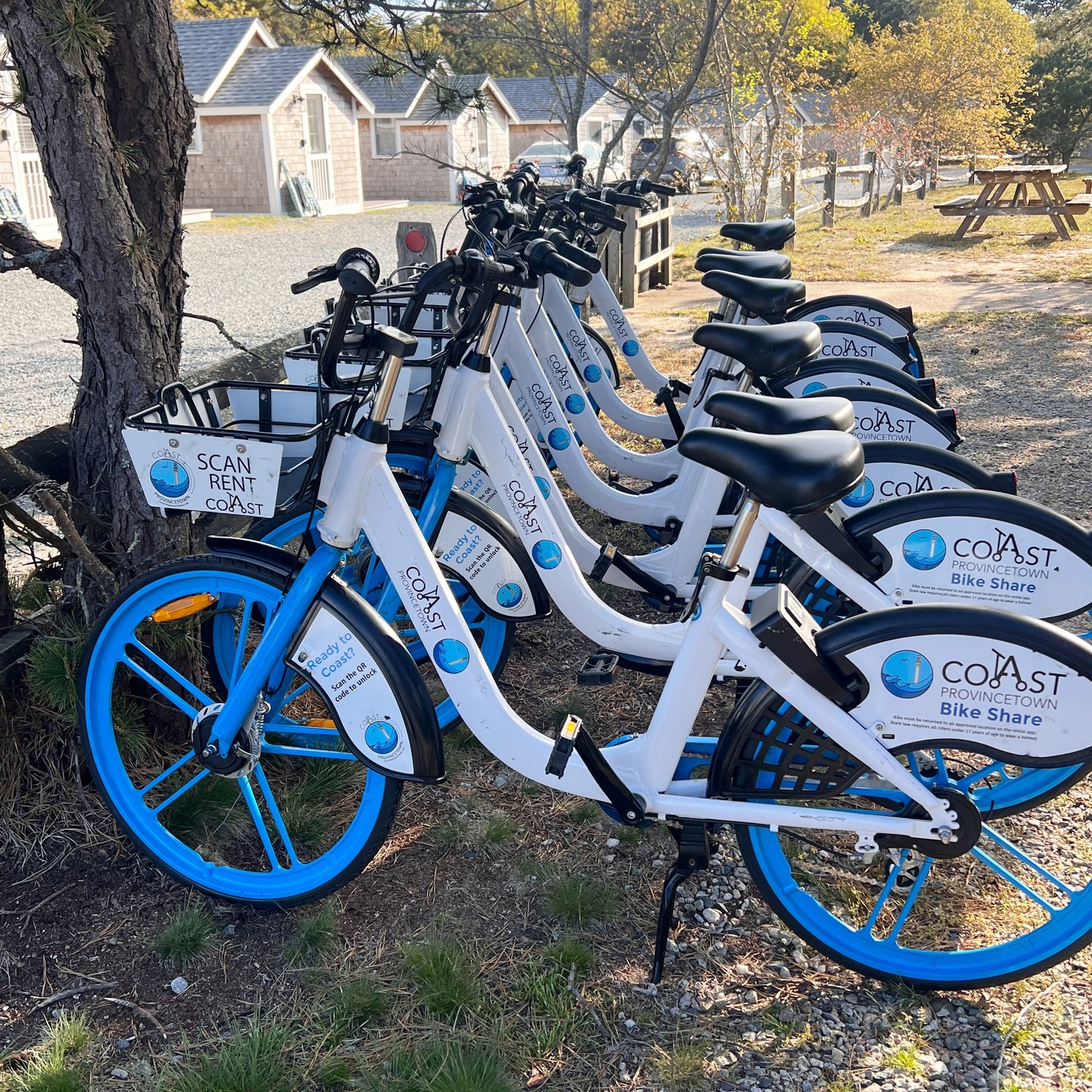Coast Provincetown and @thelexvestgroup have partnered again to expand access to bike and scooter rentals at their Truro locations. Your ride is waiting at the @princeofwhalescottages and @trurobeachcottages Try your first ride on us with promo code: Ride5