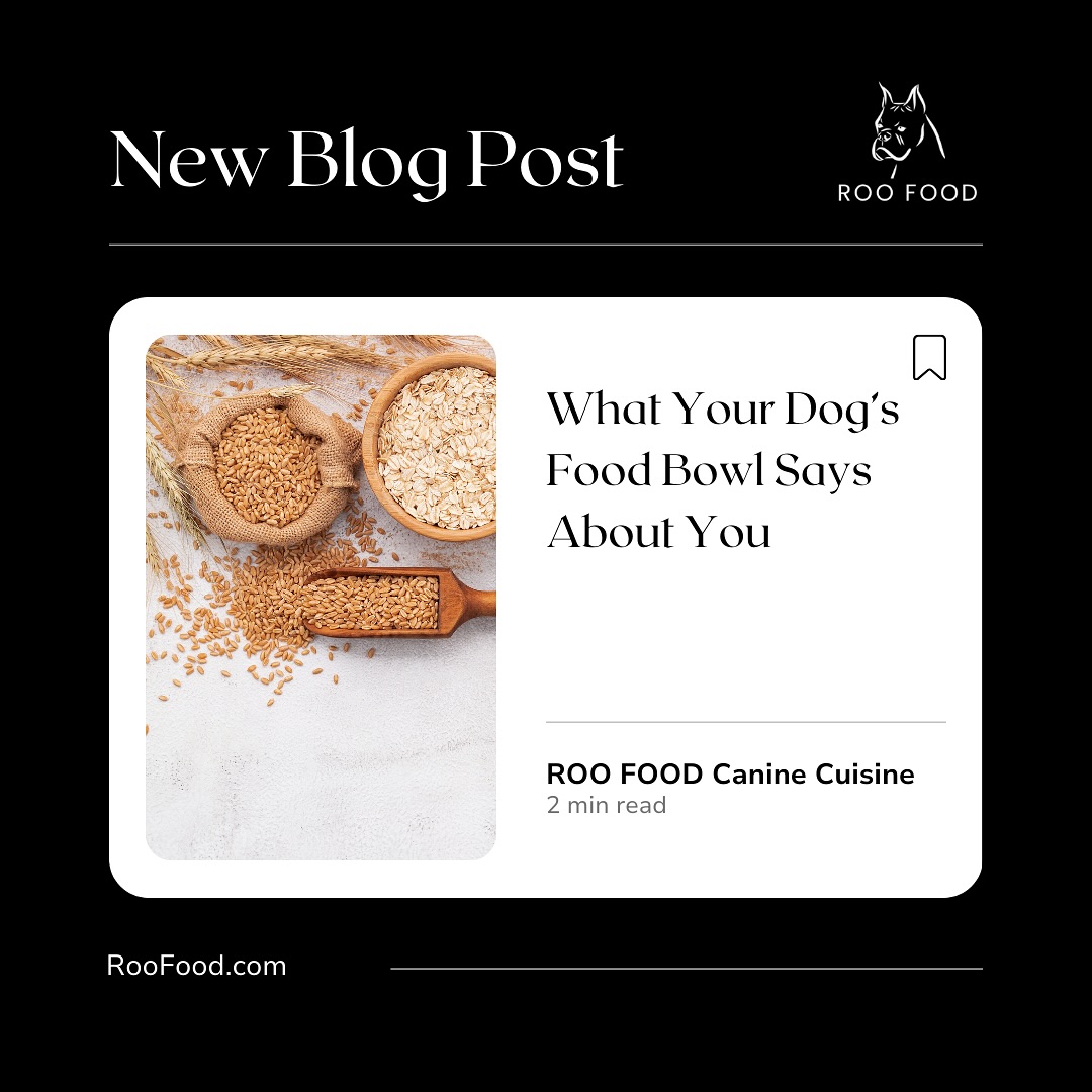 What does your dog’s bowl say about you?
Minimalist? Handcrafted ceramic? No bowl at all? We’re decoding canine dining setups—and the pet parents behind them.
Real food, real style, real insight. 🐾
#dogfoodbowl #roodoglife #wholefoodfordogs #dogmomsunite #doghealthmatters