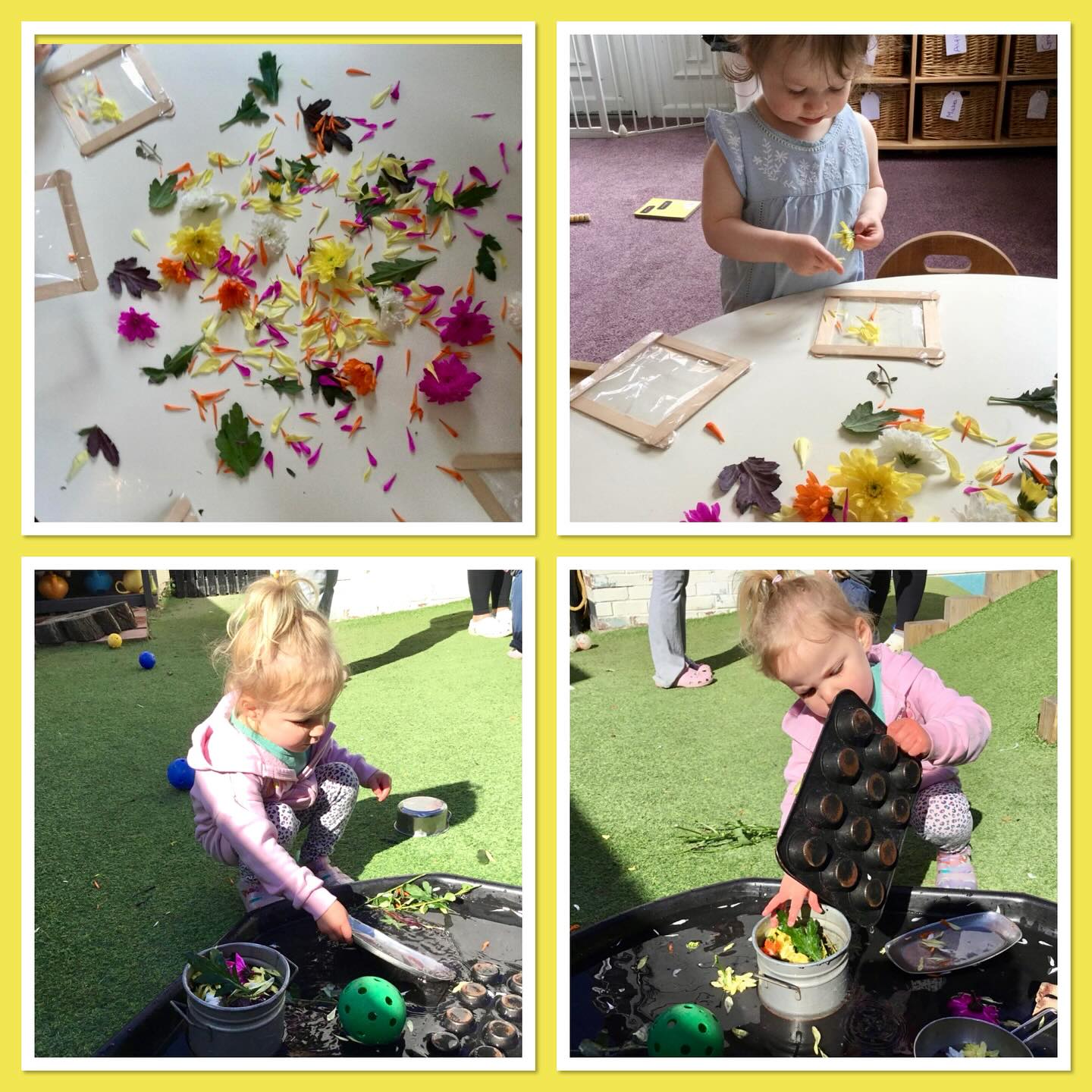Flower petal play includes opportunities for sensory development, fine motor skill building, and language enrichment. It also encourages cognitive development, social skills, and emotional regulation. #westbridgford #independent #nursery  #est1988 #underfundedchildcare #earlyyearseducation  #holidayclub #outofschoolclub #openendedplay #early years #play #curiosity #letthemplay #outdoors  #ndna#learningthroughplay #milliesmark #birthtofivematters #earlyyearsoutdoors #milliesmark  #2025 #may  #keepingchildrensafe #thewhitehousedaynursery
#aweandwonder #spring #petalplay