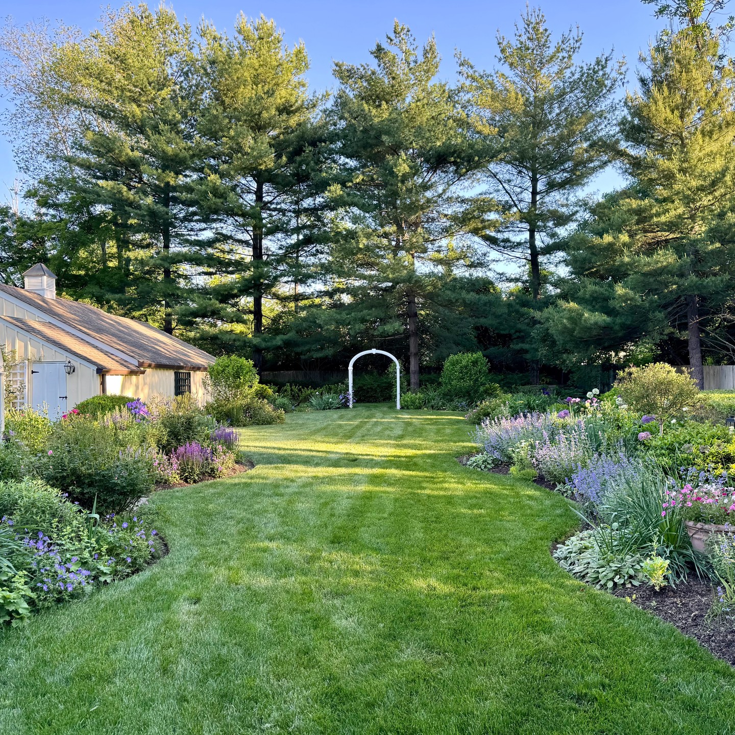 After all the rain, the morning sun feels especially beautiful! Loving May in the garden.
-Cape Cottage Garden, Zone 7a, New Jersey, USA
#finegardening,#perennialgardens #countrygardens #gardengatemagazine #thecottagejournal #unbelievablegardens #homeandgarden #thehappygardeninglife #gardendesign #romanticgardendreams #countrygarden #gardenplanning #gardengreatorsmall #betterhomesandgardens #thegardeningspirit #gardenanswer #njgardening #bhggarden#cottagegardens #flowerlovers #gardensofinstagram