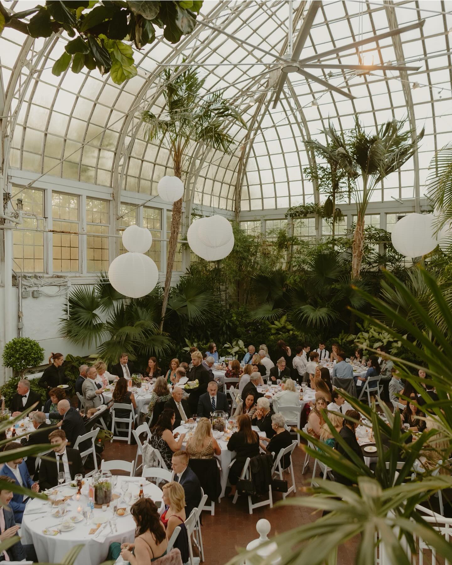 Reception details of my dreams 🦋
-
-
-
#ohio #ohiogram #ohiophotographer #columbusphotographer #belovedstories #justengaged #loveauthentic #thatsdarling #weddingphotographer #photooftheday #photosinbetween #visualoflife #visualscollective #shootandshare #lovestoryteller #authenticlovestories #engagement #ohiobrides #ohioisforlovers #ohiowedding #midwestisbest #daytonphotographer #columbusweddingphotographer #daytonweddingphotographer #midwestphotographer #columbusweddings #receptiondetails #hockinghillsphotographer #franklinparkconservatory