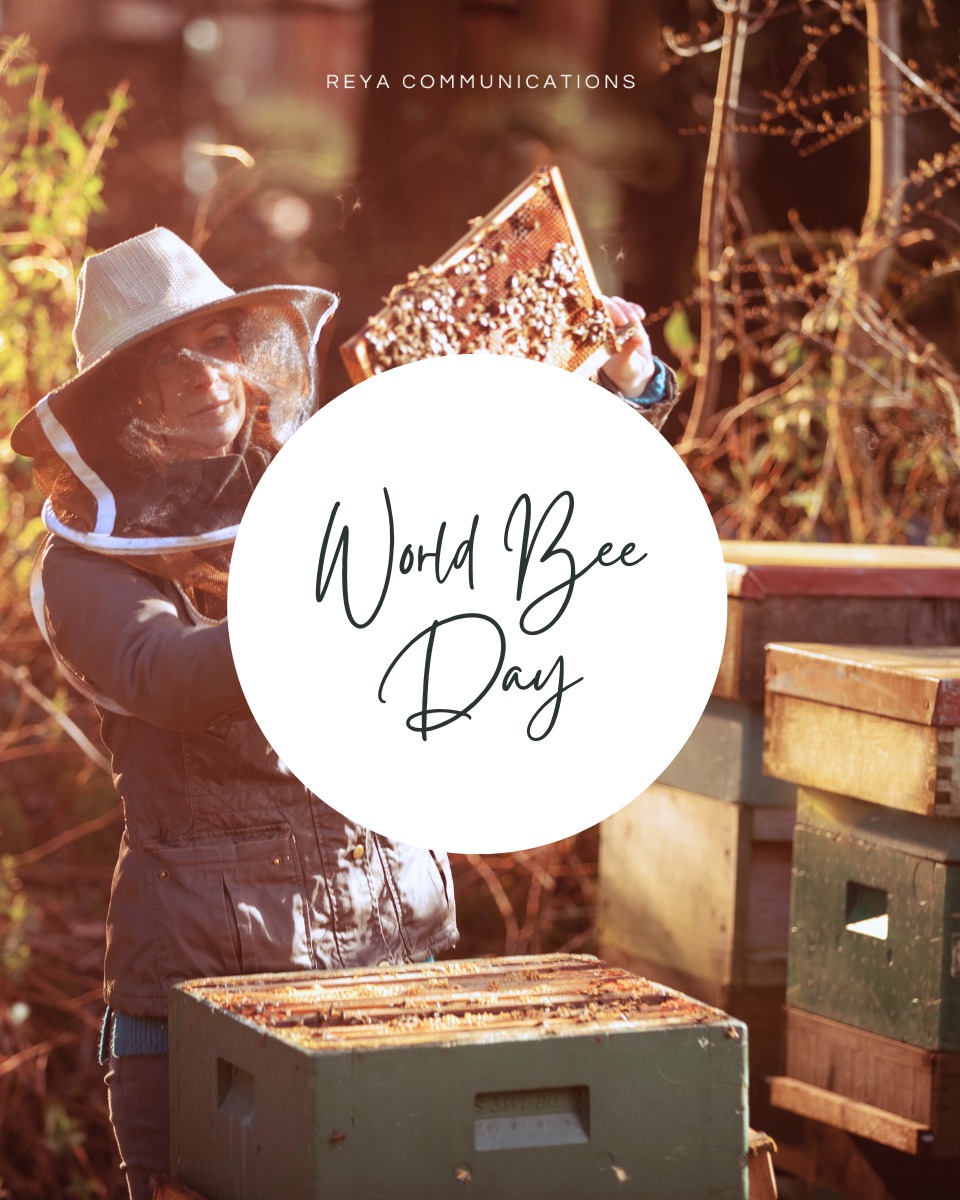 Today, on #WorldBeeDay, we celebrate those tiny pollinators that play a huge role in sustaining life on our planet. Bees are responsible for pollinating more than 75% of the worldâs flowering plants and about 35% of global food crops, from the fruits we eat to the flowers we admire, their impact is everywhere.
But bees are more than just hardworking insects. They're essential to healthy ecosystems, biodiversity, and food security. As climate change, habitat loss, and pesticides threaten bee populations worldwide, protecting them is more urgent than ever.
From the Peruvian Amazon to the savannahs of Uganda, or the heart of Ireland, weâre proud to work with travel partners supporting bee conservation through community-led initiatives.
In the heart of the Peruvian Amazon, @delfinamazoncruises and their Bee Queen Coin program is helping empower women in remote communities through sustainable beekeeping with native stingless bees, promoting biodiversity, boosting local crops, and offering a source of income and nutrition.
In Uganda, @volcanoes_safaris supports the Kyambura Bee Keepers Co-Operative through training and sustainable honey production. Their beehives not only provide economic support, but also help protect farmland from elephant raids by acting as natural deterrents.
And in Ireland, @cashelpalace has declared a Conservation Area for the endangered Native Irish Black Honey Bee, the last genetically pure population of its kind in Europe. The hotelâs historic grounds now offer a safe haven for this unique species to thrive, with rewilded meadows and restored heritage âbee bolesâ signaling a return to nature.
Letâs continue to advocate for pollinators, support bee-friendly practices, and celebrate those who are making a difference, one hive at a time.
Read more about our incredible clients using their role in tourism to support bee conservation through community-led initiatives. Link in our stories and bio.
#WorldBeeDay #PollinatorConservation #SustainableTravel #BeeProjects #LuxuryWithPurpose #DelfinAmazonCruises #VolcanoesSafaris #CashelPalace #REYACommunications #TravelPR #NatureConservation #EcoTourism #BeeTheChange