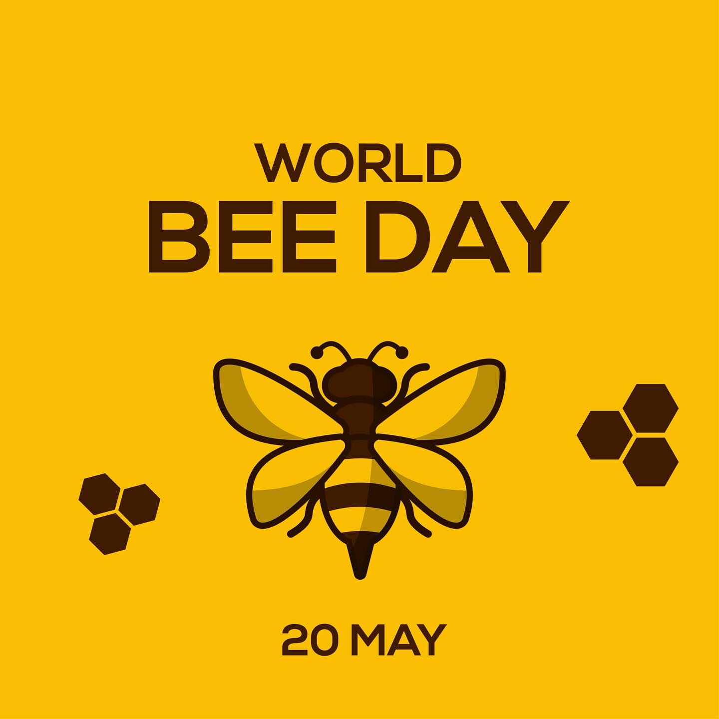 It’s World Bee Day today - a day to raise awareness of the importance of pollinators, the threats they face and their contribution to sustainable development. #westbridgford #independent #nursery  #est1988 #underfundedchildcare #earlyyearseducation  #holidayclub #outofschoolclub #openendedplay #early years #play #curiosity #letthemplay #outdoors  #ndna#learningthroughplay #milliesmark #birthtofivematters #earlyyearsoutdoors #milliesmark  #2025 #may  #keepingchildrensafe #thewhitehousedaynursery
#aweandwonder #spring #worldbeeday