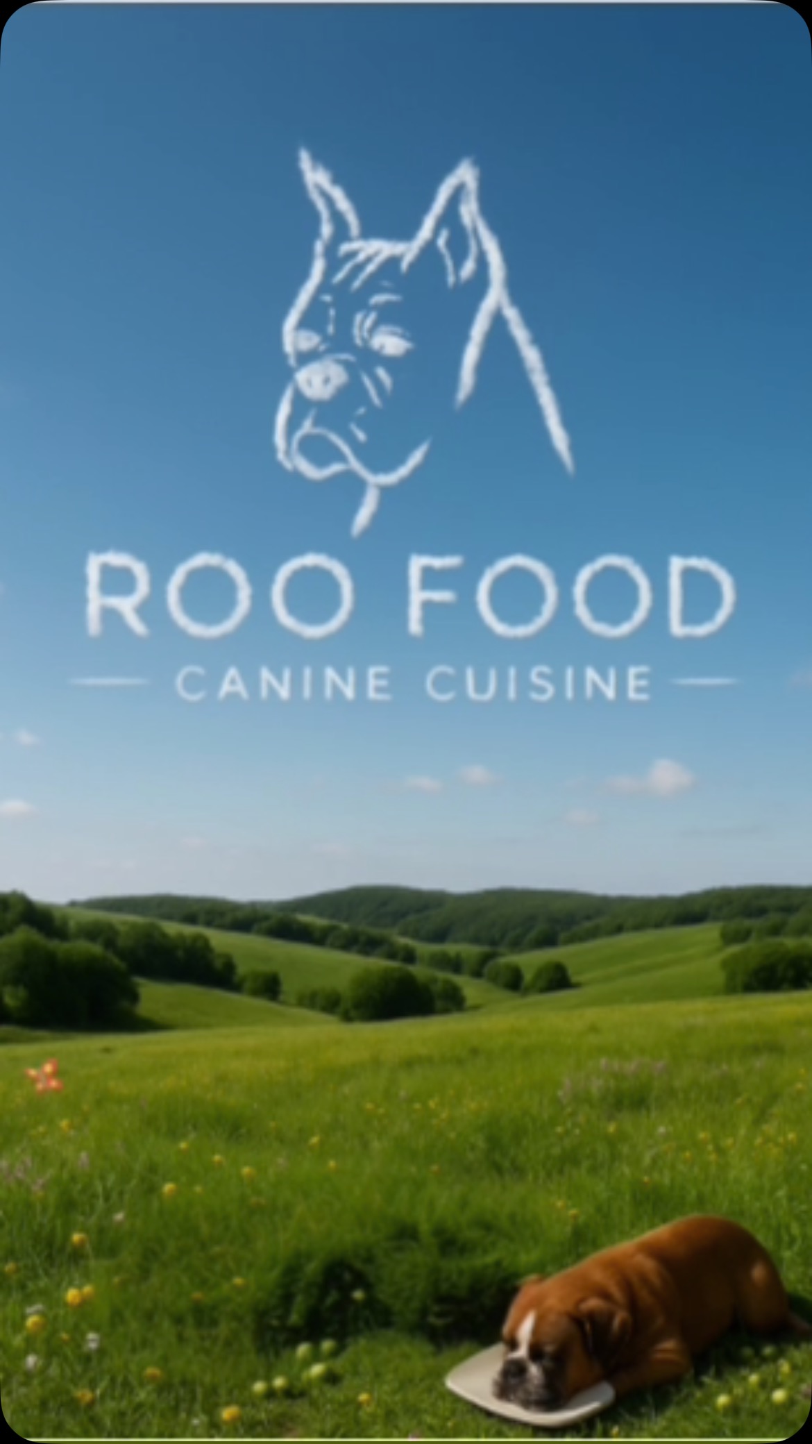 Some brands leave their mark on packaging—we’d rather leave ours in the sky.
At Roo Food, we believe nature says it best. Clean ingredients, open skies, and food you can feel good about.
#RooFood #NaturalDogNutrition #FarmToBowl #DogHealth #CleanCanineCuisine #WholesomeIngredients #HealthyDogLife