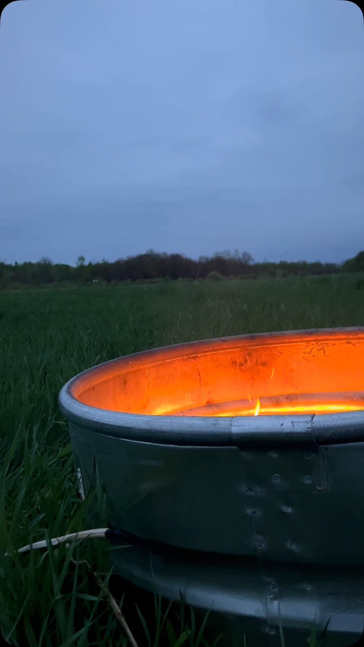 Attempts to coax the woodcock to the fire have so far failed. Savannah sparrows, however, are game. Hoping the bobolinks show their heads soon.
I got a bunch of high tunnel work done tonight. Feels good.