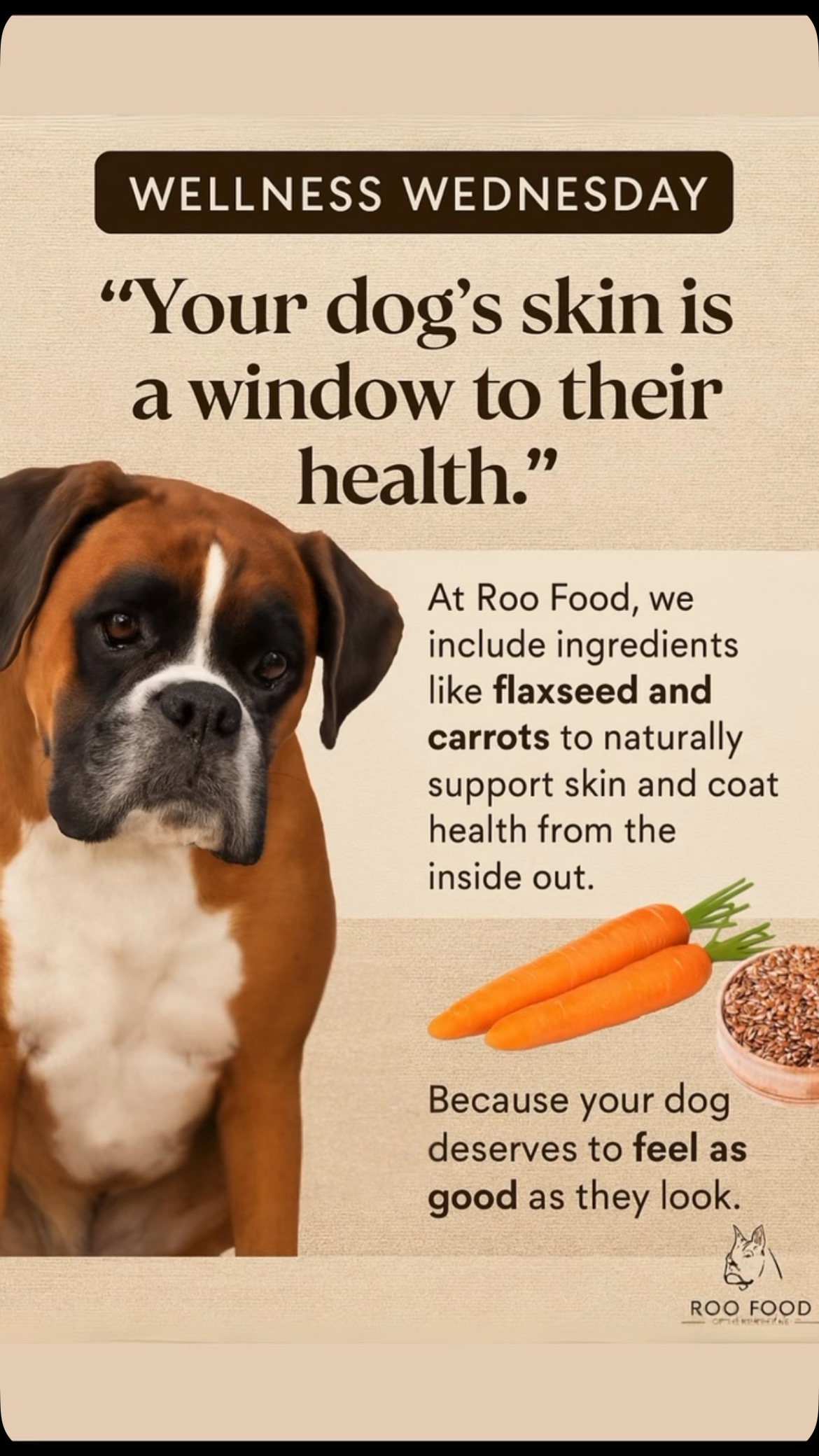 Support your dog’s skin and coat health with real food ingredients like flaxseed and carrots—only in Roo Food.
Hashtags:
#WellnessWednesday #HealthySkinHappyDog #RooFoodBenefits #RealFoodForDogs #DogNutritionMatters