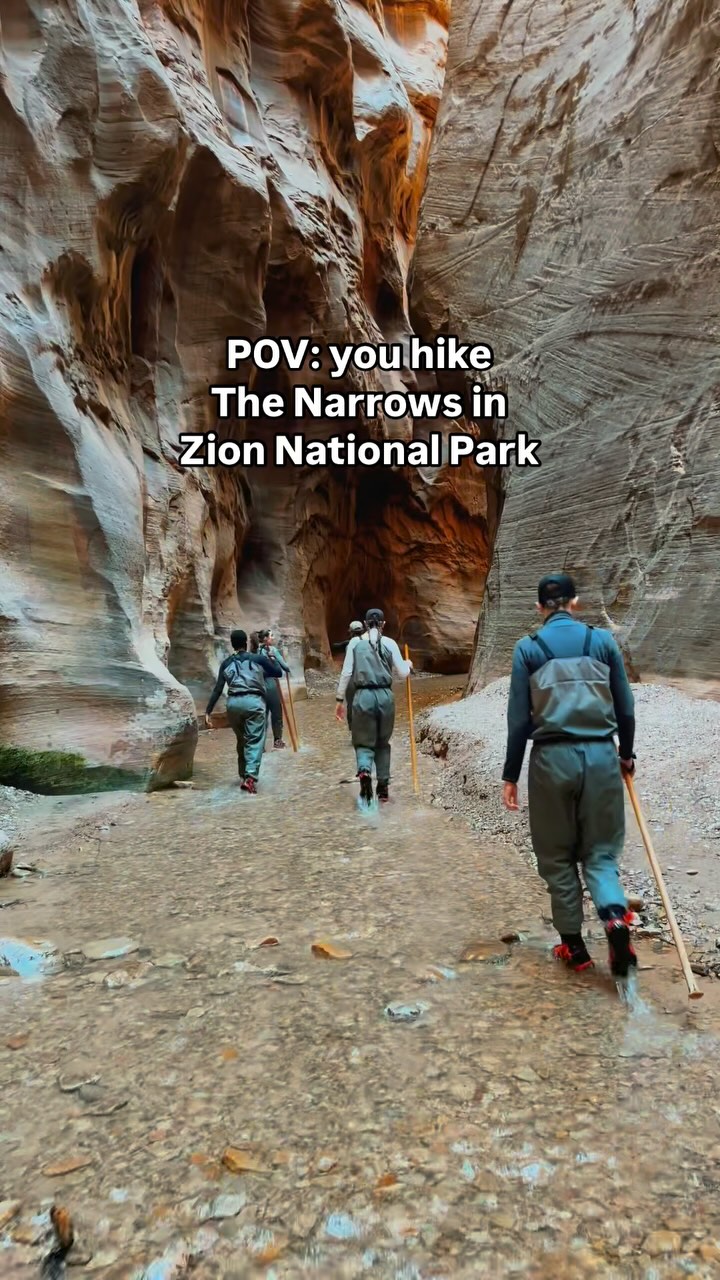 I loved hiking The Narrows! But there were a few things I wish I would have known before doing it and a few things I was grateful we did know before making the trek:
➡️ Make sure you’re in shape before you do it (particularly if you want to see Wall Street or some of the more narrow spots).
➡️ Check the forecast beforehand and the chance of a flash flood the day of.
➡️ Rent dry gear and a walking stick if the water is cold. (We needed them in April!)
➡️ Bring a dry bag/water resistant bag for your belongings.
➡️ Plan for an all-day hike if you want to see as much of The Narrows as you can without a permit (up to Big Springs). So bring plenty of water and snacks/meals.
➡️ Don’t drink the water or submerge your head or an open wound as there’s a potentially harmful bacteria in it.
➡️ Screenshot or bring a detailed map of The Narrows so you know where you are and how far you’ve gone. (We also noticed others were figuring out where they were based on how many miles their watches told them they had hiked.)
➡️ Talk to a park ranger if you have questions!
Have fun! I promise it’s worth it. ☺️
••••••••••
#whereyouwander #travelgram #travel #travelblogger #travelvlog #travelmore #hiking #hikingtrails #trail #nationalparks #travelgirl #hikingadventures #hikingviews #view #canyon #coolhikes #utah #visitutah