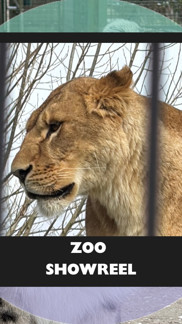 Check out our amazing work at Whipsnade Zoo, Hertfordshire Zoo, and The Big Cat Sanctuary!
We’re proud to help create incredible spaces for these incredible animals!🦁✨
#WhipsnadeZoo #HertfordshireZoo #BigCatSanctuary #ZooDesign #AnimalConservation #CreativeSpaces #WildlifeProtection #GraphicsInTheWild #ProudProject
#ZooLife #BehindTheScenes