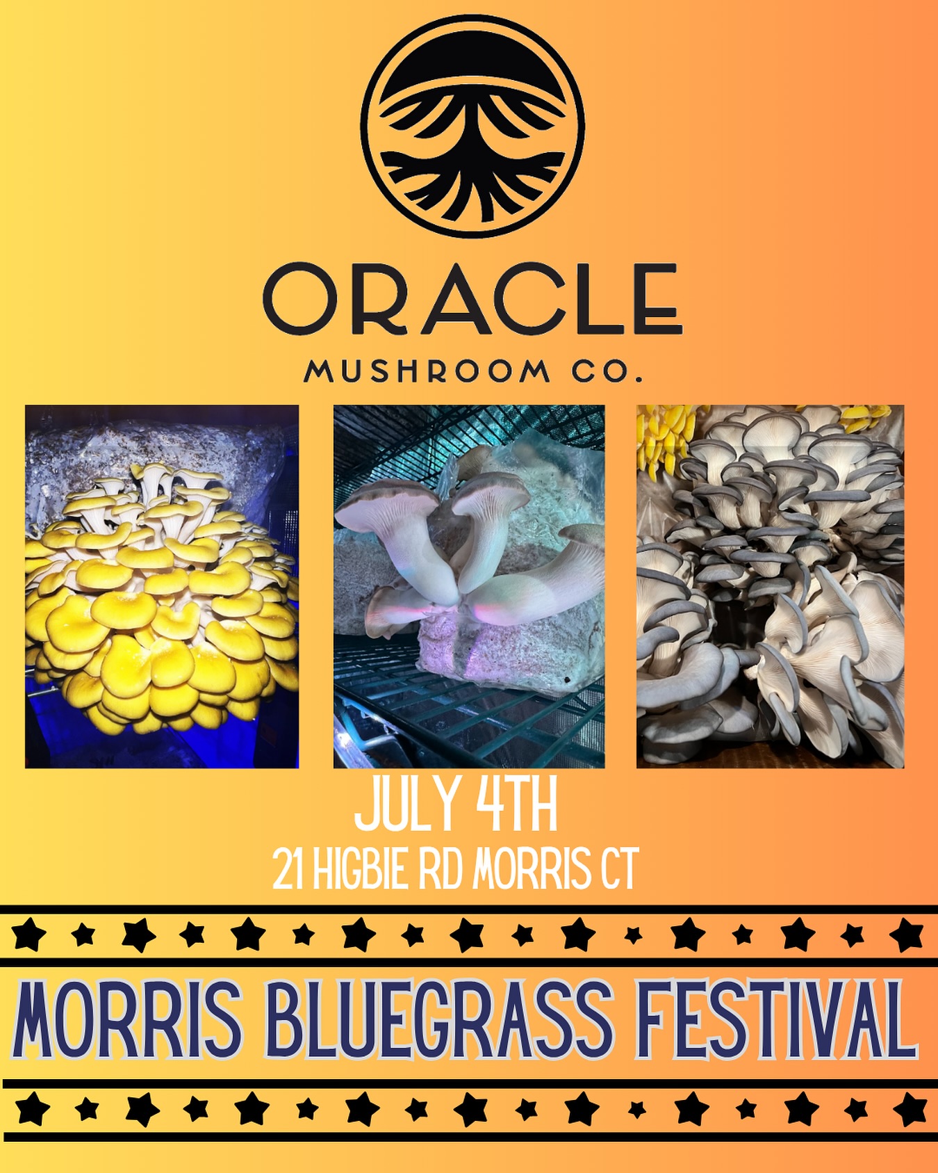 The Morris Bluegrass Festival is thrilled to welcome Oracle Mushroom Co. as a sponsor! A gourmet mushroom farm located in South Kent, Connecticut bringing the ancient benefits of fungi out of the shadows and into your life. Our mushrooms are bred & cultivated to the highest standard of quality for medicinal, culinary, and holistic benefits. At Oracle Mushroom Co., we are a team dedicated to cultivating the finest mushrooms for our customers. Led by founder Spencer Lord, our mission is to provide high-quality, top tier mushrooms while promoting sustainability and ethical practices in our farming. Get to know our story, and let us show you why we enjoy bringing our mushrooms to you. @oraclemushrooms @southfarms @southfarmspasture #ctmusic #newenglandbluegrass #morrisbluegrassfestival #ctbluegrassassociation @oraclemushrooms