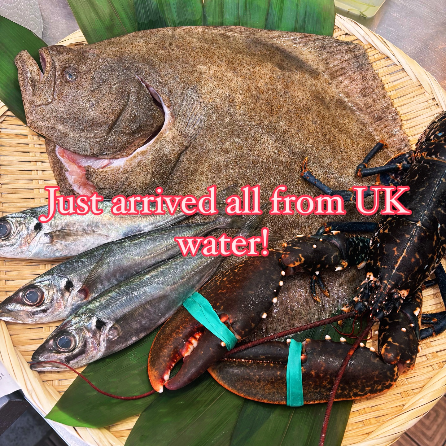 Hello everyone!Great news to you! Actually every day.
Just arrived from all UK water!
#kaiseki chef Makoto san always is eager to seek for the highest ingredients as much as he can using his strong connection with his reliable suppliers.
These items are all 天然/wild caught seafood from UK water.Thank you very much for fishrman san😊
With Makoto san's Kaiseki craftsmanship,They will make sure to make our all diners a big smiles at #yokoya.
We’re a very small independent restaurant in camden town.But our passion is huge to deliver authentic Japanese cuisine as japanese who grew up in Japan😊
May Kaiseki menu will finish soon.
We’re very much looking forward to welcoming you!Of course,We’ve never forgotten to think about the thankful mind to all ingredients ’いただきます/Itadakimau’🙏mind as Japanese😊
#kaiseki #kaisekilondon #omakaselondon #yokoya#yokoyalondon #japanesechef #camdentown town