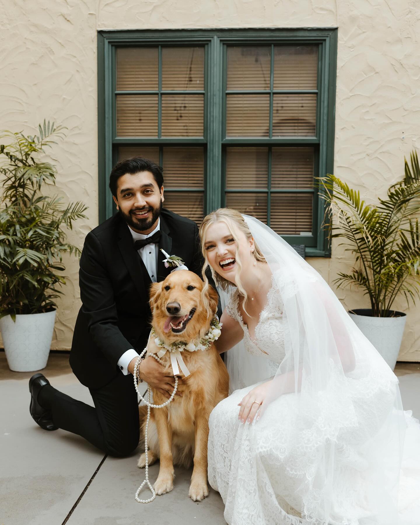 This is your sign to take photos with your dog on your wedding day. ❤️ Halie + Sharad’s Rosie sure looks happy her parents are officially Mr. & Mrs.!
Vendor Team: Coordinator: @weddingelegance - Haley. Photographer: @annalisefilm.photo Videographer: @minorfilmco DJ: @levityevents - Kyle. Caterer: @brancatoscatering Venue: @lavillakc Florist: @wildhillflowers Cake: @bakedbybrush Bartending: @topshelfbartendingkc Photo Booth: @kcphotoboothco Dress: @gowngallery Beauty: @ck__beauty__ & @hairbymaddie