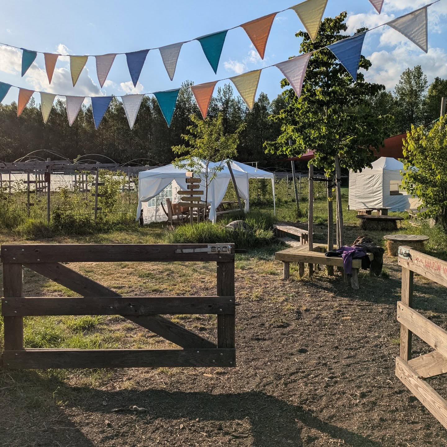 WELKOM!!
AARDBEI FEEST πππ zaterdag & zondag telkens van 10u tot 18u!
Uitnodiging: Het mooiste aardbeienfeest van de streek! π
Uur: telkens van 10u tot 18u
waar: Bio boerderij de daalkouter
Op zaterdag Γ©n zondag vieren we met veel liefde onze geliefde aardbei β€οΈ
Trek je laarzen aan en kom de zoetste aardbeien van Herzele plukken π€©π
β¨ Doorlopend open:
β’ Een gezellige veldbar met lokale lekkernijen π§
β’ Verse aardbeientaart ( van Elien van Weideweelde), huisgemaakte limonade en verfrissende fruitijsjes.
π¨ Zowel op zaterdag als zondag komt Fien kindersnoetjes schminken β laat je fantasie de vrije loop! (14uβ16u) π§βοΈπ¦
π Zaterdagmiddag wordt extra feestelijk met kinderanimatie vol aardblijmakerijtjes en vertellerijtjes, gebracht door Jits Van Belle van Theater Boutique ππ
πΏ Spring eens binnen en beleef onze boerderij!
Tot dan,
Helmi, Betse & Hannes