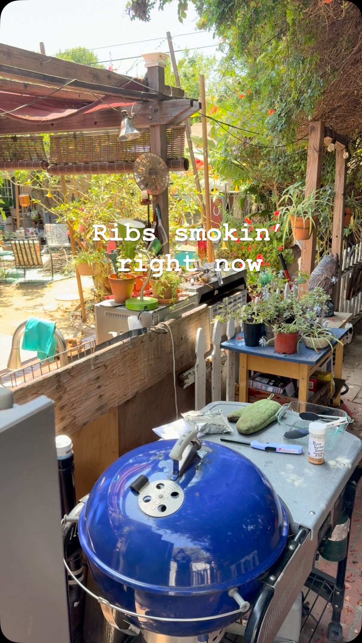 #recordingstudio #smoker #bbq #ribs