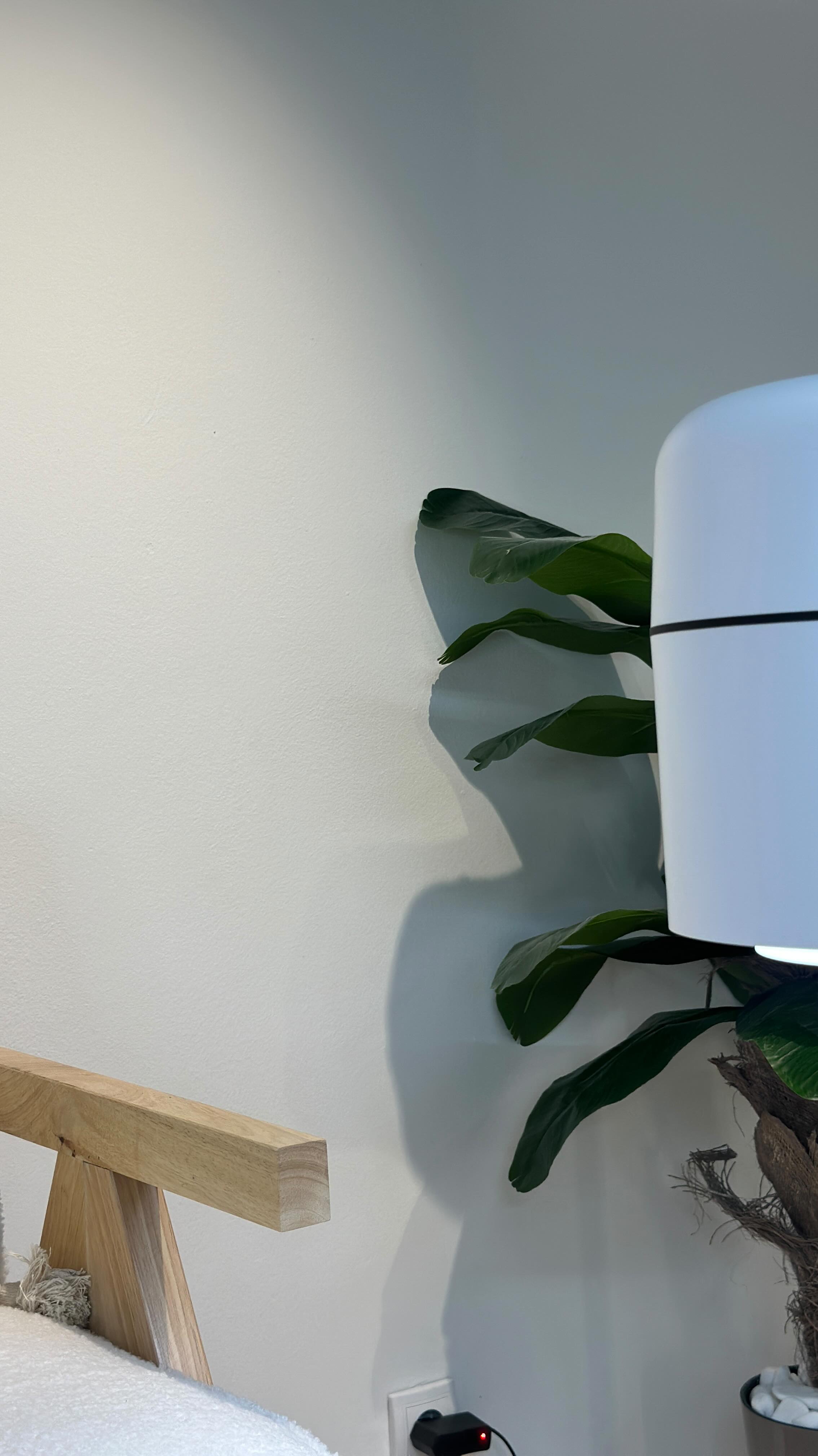 ✨ Kako možemo da utičemo jedni na druge? ✨
Male stvari koje mnogo znače:
🌿 Zakaži svoj sledeći termin na vreme – da zajedno planiramo tvoje trenutke nege.
📧 Proveri svoj mejl
📸 Taguj nas na Instagramu – tvoj osmeh je naša inspiracija!
🫀 Ostavi google recenziju- tvoj glas nam pomaže da budemo još bolji.