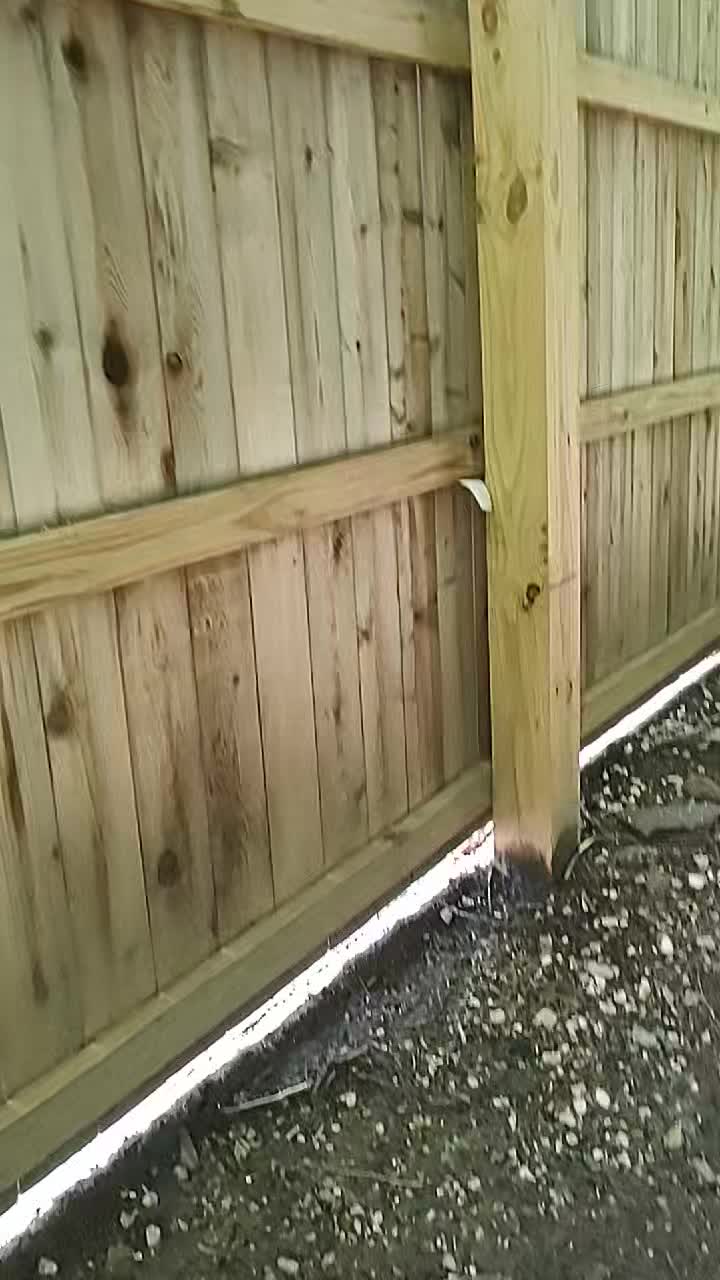 Pray as we evangelize at the abortion clinic here in Baltimore a lot of people are showing up and we're facing opposition.