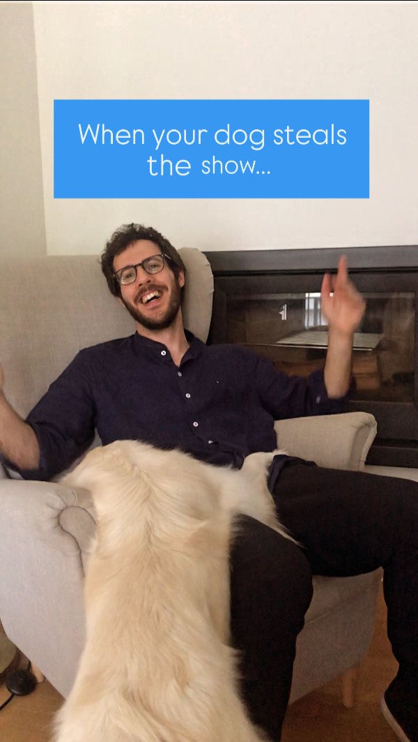 🎥 Take 17... 🎥
Because clearly, Chloé thought her solo deserved more attention than mine.
She’s not just a dog — she’s a creative director with strong opinions.
Anyone else living with a four-legged diva?
👇 Let me know how your co-workers behave.
15 days to go until Where the Earth Ends – out June 12 on @oclassica.
#PedroEmanuelPereira #ChloeTheDog #ReelBloopers #WorkingWithPets #ClassicalPianoInterrupted #ClassicalLifeUnfiltered #DogsOfInstagram #BehindTheScenes #MusicAndDogs #ReelInterrupted #QandAwithPedro #FunReel #WhereTheEarthEnds #CountdownToRelease #DolbyAtmos
