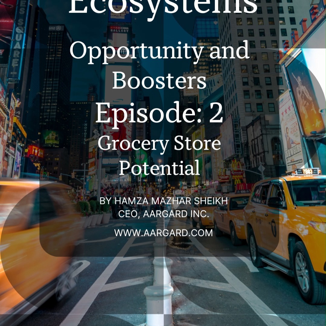 Small Ecosystems (Episode 3): FMCGs and Grocery Stores